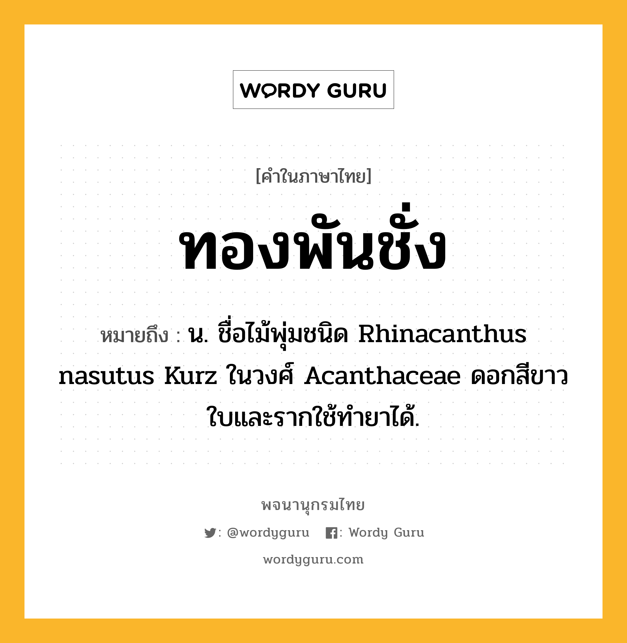 ทองพันชั่ง หมายถึงอะไร?, คำในภาษาไทย ทองพันชั่ง หมายถึง น. ชื่อไม้พุ่มชนิด Rhinacanthus nasutus Kurz ในวงศ์ Acanthaceae ดอกสีขาว ใบและรากใช้ทํายาได้.