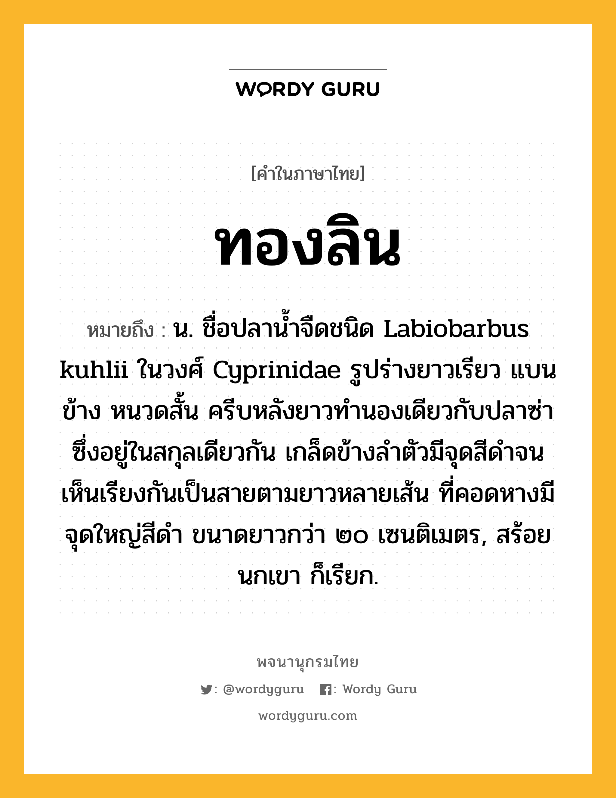 ทองลิน หมายถึงอะไร?, คำในภาษาไทย ทองลิน หมายถึง น. ชื่อปลานํ้าจืดชนิด Labiobarbus kuhlii ในวงศ์ Cyprinidae รูปร่างยาวเรียว แบนข้าง หนวดสั้น ครีบหลังยาวทํานองเดียวกับปลาซ่าซึ่งอยู่ในสกุลเดียวกัน เกล็ดข้างลําตัวมีจุดสีดําจนเห็นเรียงกันเป็นสายตามยาวหลายเส้น ที่คอดหางมีจุดใหญ่สีดํา ขนาดยาวกว่า ๒๐ เซนติเมตร, สร้อยนกเขา ก็เรียก.