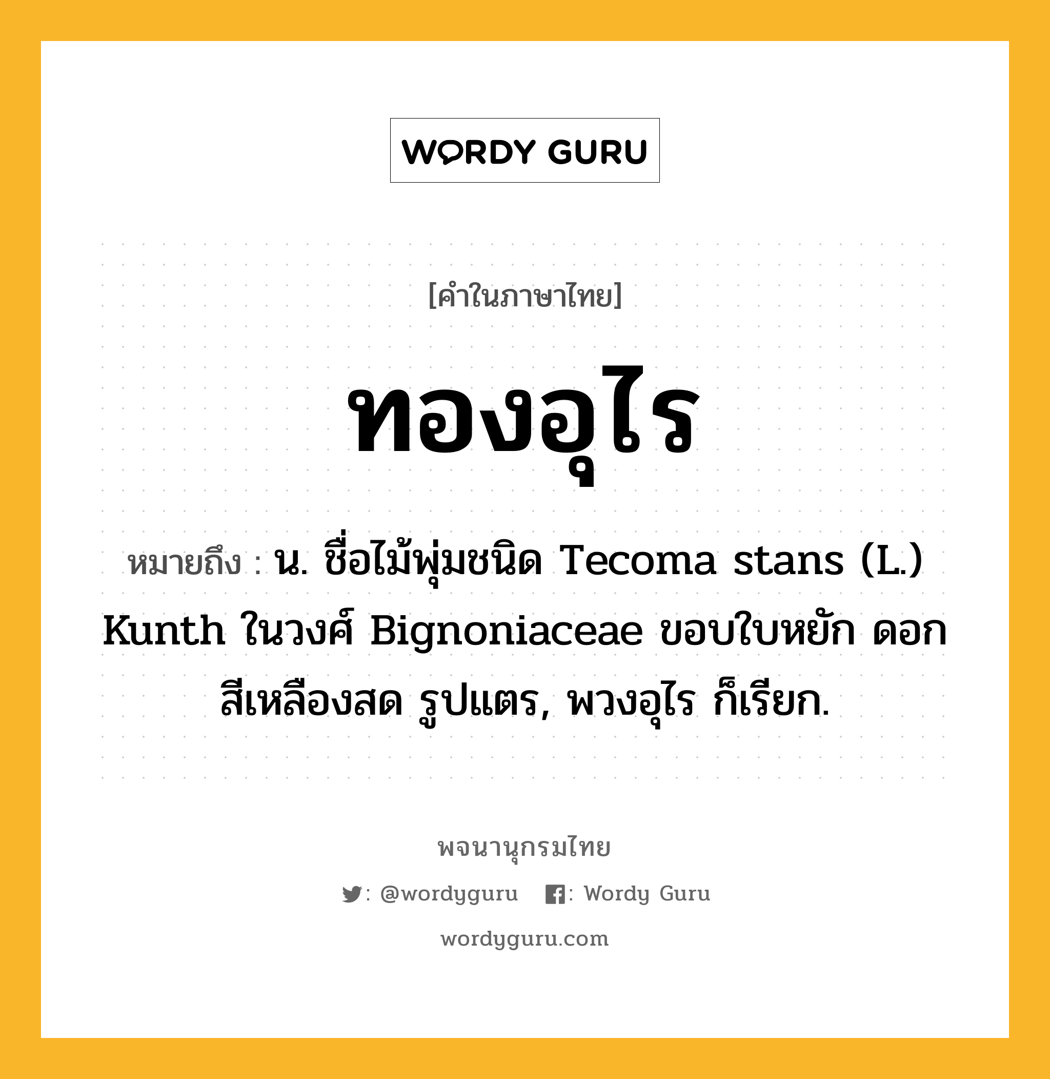 ทองอุไร ความหมาย หมายถึงอะไร?, คำในภาษาไทย ทองอุไร หมายถึง น. ชื่อไม้พุ่มชนิด Tecoma stans (L.) Kunth ในวงศ์ Bignoniaceae ขอบใบหยัก ดอกสีเหลืองสด รูปแตร, พวงอุไร ก็เรียก.