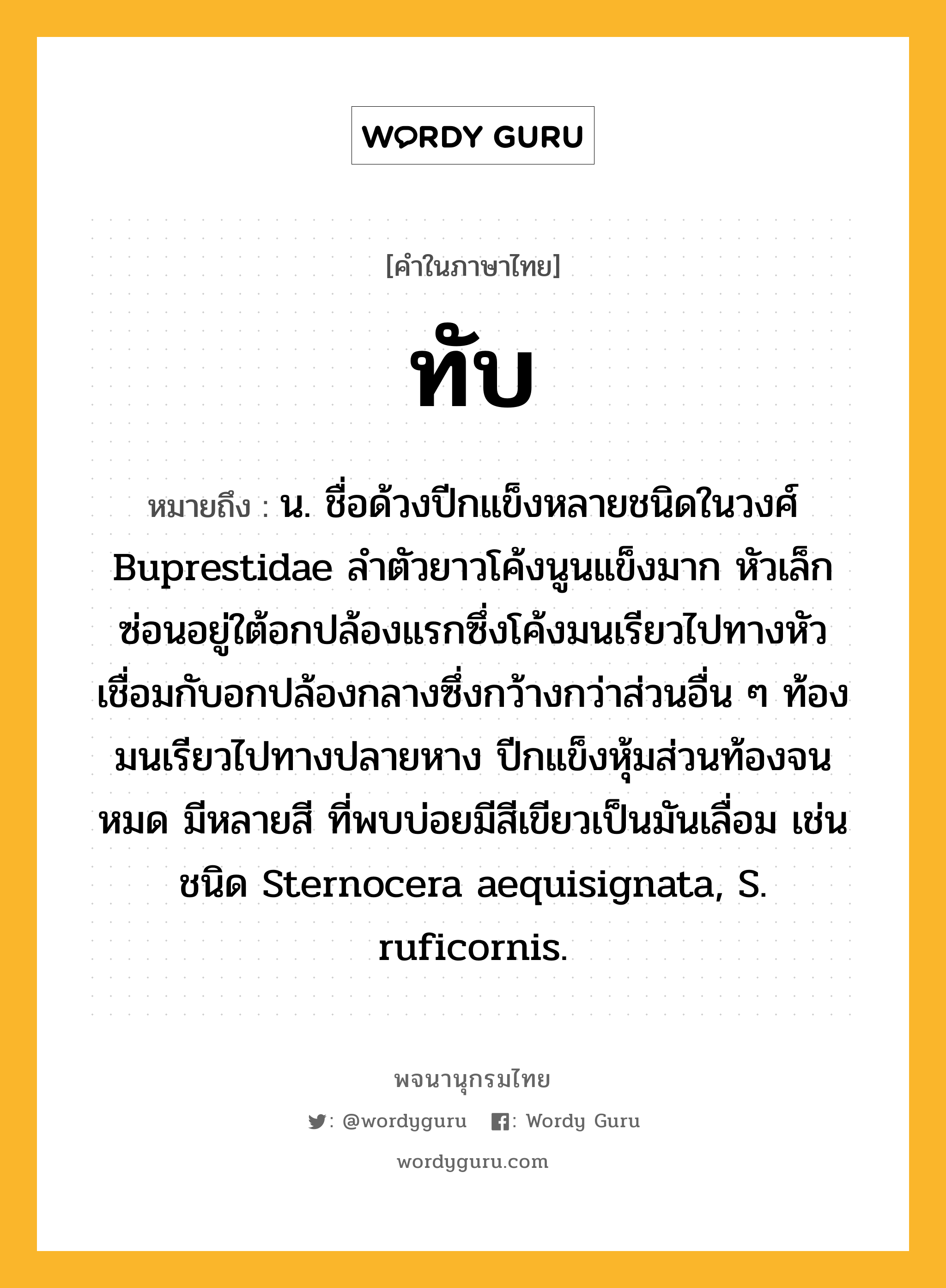 ทับ หมายถึงอะไร?, คำในภาษาไทย ทับ หมายถึง น. ชื่อด้วงปีกแข็งหลายชนิดในวงศ์ Buprestidae ลําตัวยาวโค้งนูนแข็งมาก หัวเล็กซ่อนอยู่ใต้อกปล้องแรกซึ่งโค้งมนเรียวไปทางหัวเชื่อมกับอกปล้องกลางซึ่งกว้างกว่าส่วนอื่น ๆ ท้องมนเรียวไปทางปลายหาง ปีกแข็งหุ้มส่วนท้องจนหมด มีหลายสี ที่พบบ่อยมีสีเขียวเป็นมันเลื่อม เช่น ชนิด Sternocera aequisignata, S. ruficornis.