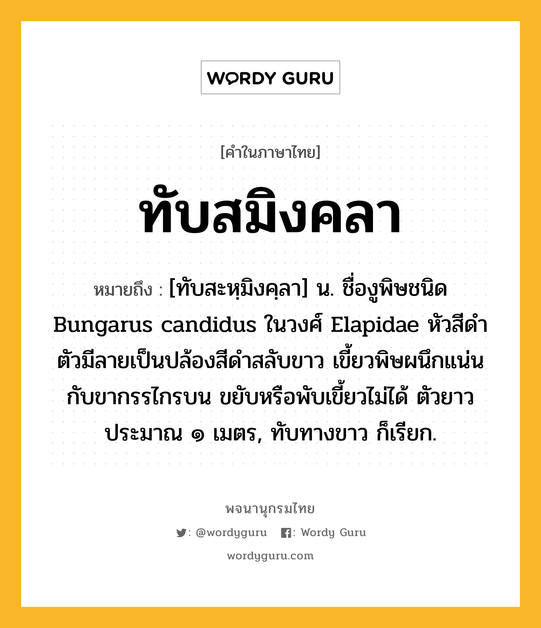 ทับสมิงคลา หมายถึงอะไร?, คำในภาษาไทย ทับสมิงคลา หมายถึง [ทับสะหฺมิงคฺลา] น. ชื่องูพิษชนิด Bungarus candidus ในวงศ์ Elapidae หัวสีดํา ตัวมีลายเป็นปล้องสีดําสลับขาว เขี้ยวพิษผนึกแน่นกับขากรรไกรบน ขยับหรือพับเขี้ยวไม่ได้ ตัวยาวประมาณ ๑ เมตร, ทับทางขาว ก็เรียก.