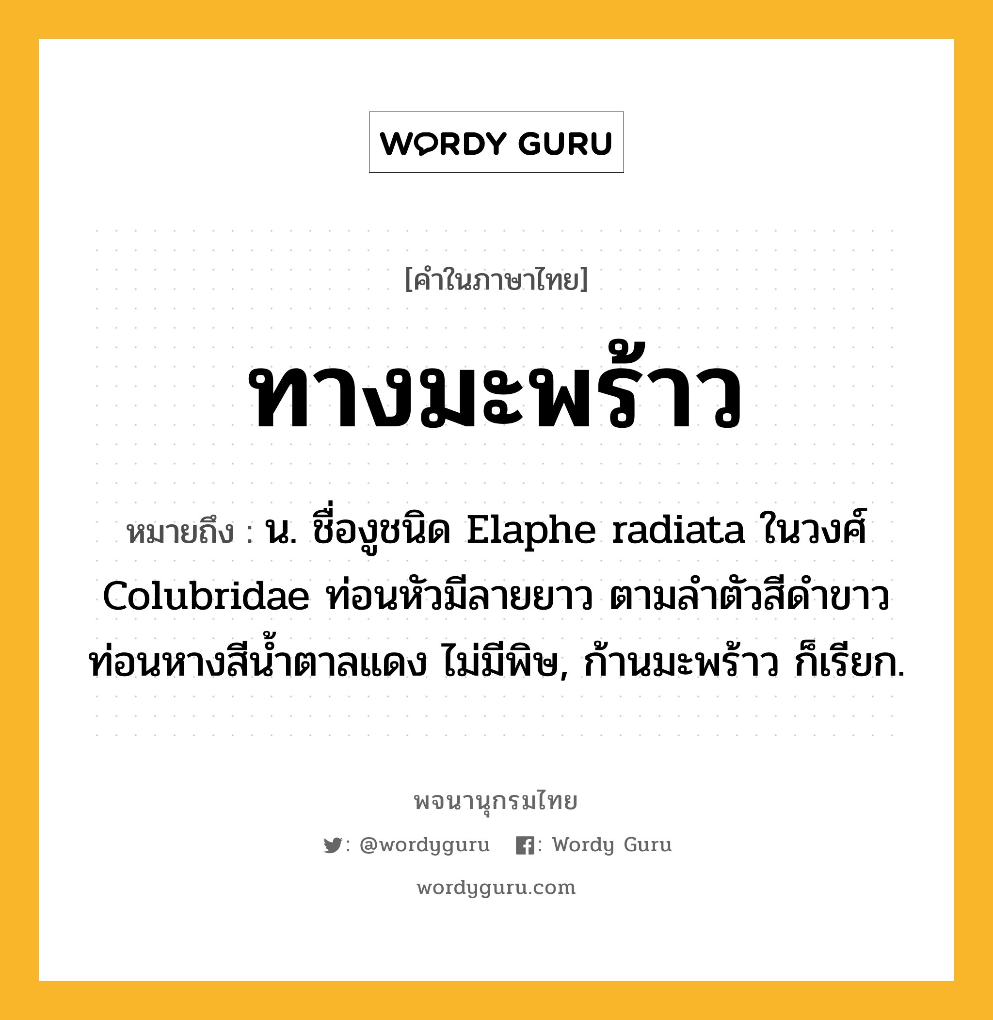 ทางมะพร้าว ความหมาย หมายถึงอะไร?, คำในภาษาไทย ทางมะพร้าว หมายถึง น. ชื่องูชนิด Elaphe radiata ในวงศ์ Colubridae ท่อนหัวมีลายยาว ตามลําตัวสีดําขาว ท่อนหางสีนํ้าตาลแดง ไม่มีพิษ, ก้านมะพร้าว ก็เรียก.