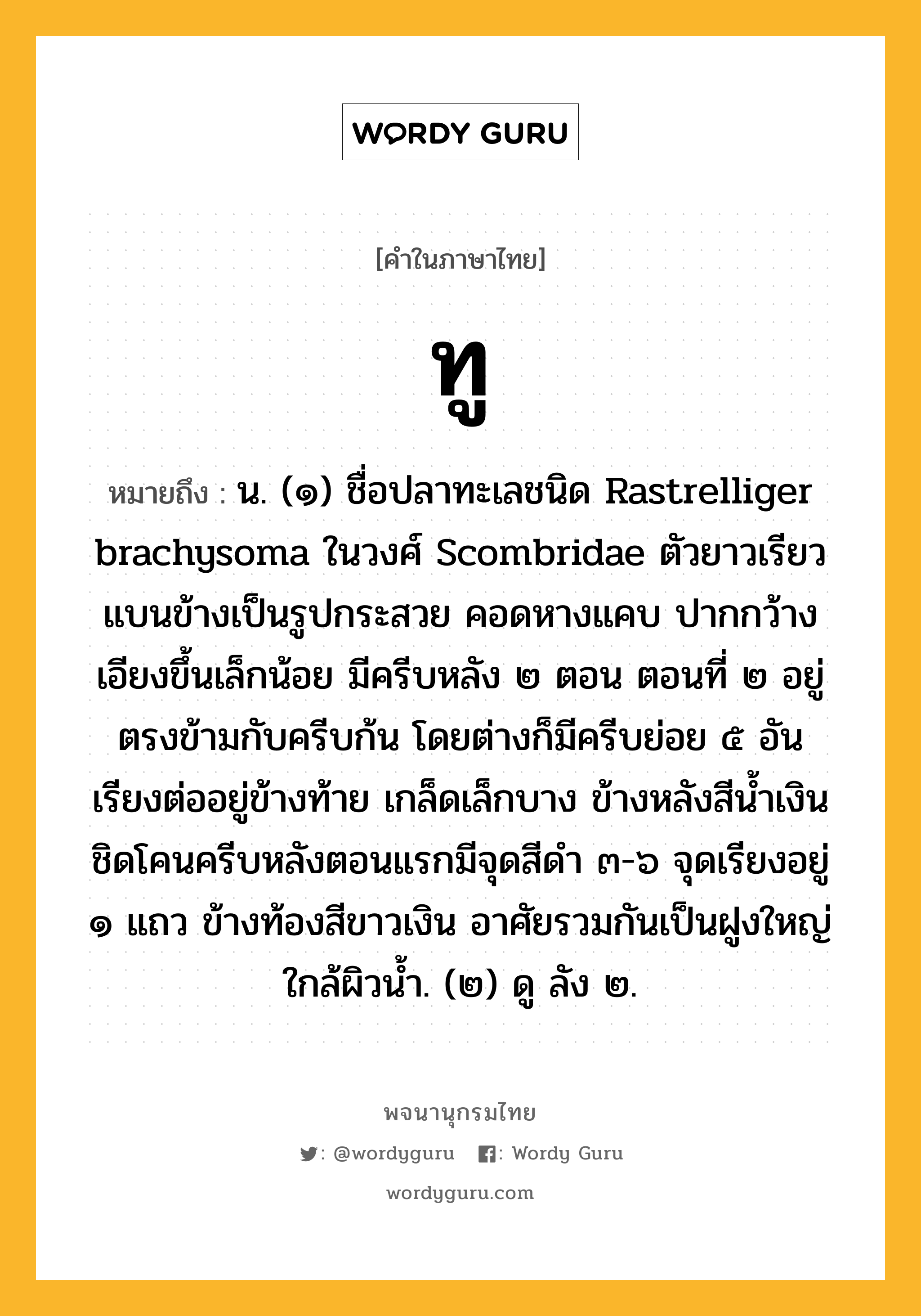 ทู หมายถึงอะไร?, คำในภาษาไทย ทู หมายถึง น. (๑) ชื่อปลาทะเลชนิด Rastrelliger brachysoma ในวงศ์ Scombridae ตัวยาวเรียว แบนข้างเป็นรูปกระสวย คอดหางแคบ ปากกว้างเอียงขึ้นเล็กน้อย มีครีบหลัง ๒ ตอน ตอนที่ ๒ อยู่ตรงข้ามกับครีบก้น โดยต่างก็มีครีบย่อย ๕ อัน เรียงต่ออยู่ข้างท้าย เกล็ดเล็กบาง ข้างหลังสีนํ้าเงิน ชิดโคนครีบหลังตอนแรกมีจุดสีดํา ๓-๖ จุดเรียงอยู่ ๑ แถว ข้างท้องสีขาวเงิน อาศัยรวมกันเป็นฝูงใหญ่ใกล้ผิวนํ้า. (๒) ดู ลัง ๒.