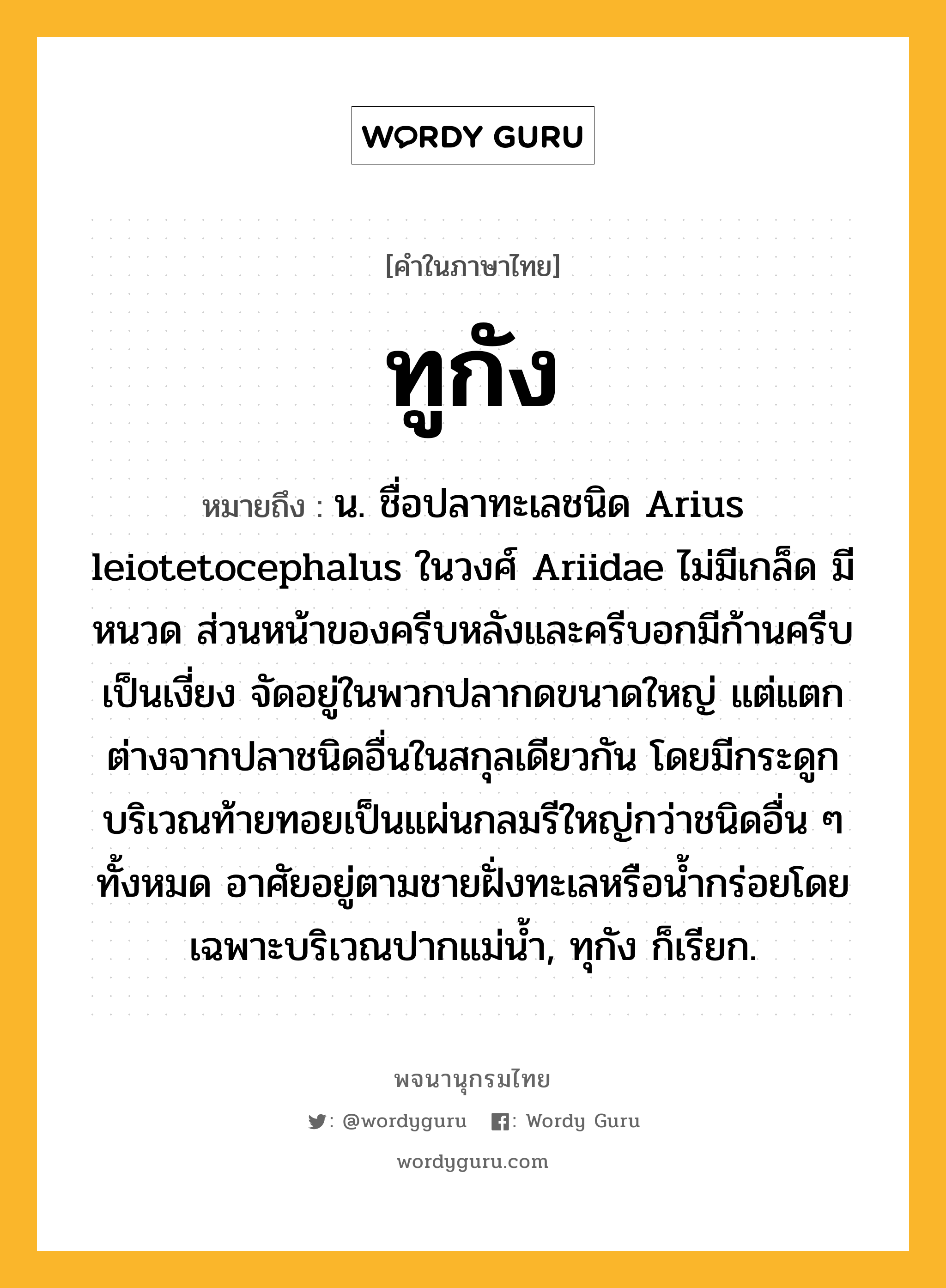 ทูกัง หมายถึงอะไร?, คำในภาษาไทย ทูกัง หมายถึง น. ชื่อปลาทะเลชนิด Arius leiotetocephalus ในวงศ์ Ariidae ไม่มีเกล็ด มีหนวด ส่วนหน้าของครีบหลังและครีบอกมีก้านครีบเป็นเงี่ยง จัดอยู่ในพวกปลากดขนาดใหญ่ แต่แตกต่างจากปลาชนิดอื่นในสกุลเดียวกัน โดยมีกระดูกบริเวณท้ายทอยเป็นแผ่นกลมรีใหญ่กว่าชนิดอื่น ๆ ทั้งหมด อาศัยอยู่ตามชายฝั่งทะเลหรือนํ้ากร่อยโดยเฉพาะบริเวณปากแม่นํ้า, ทุกัง ก็เรียก.