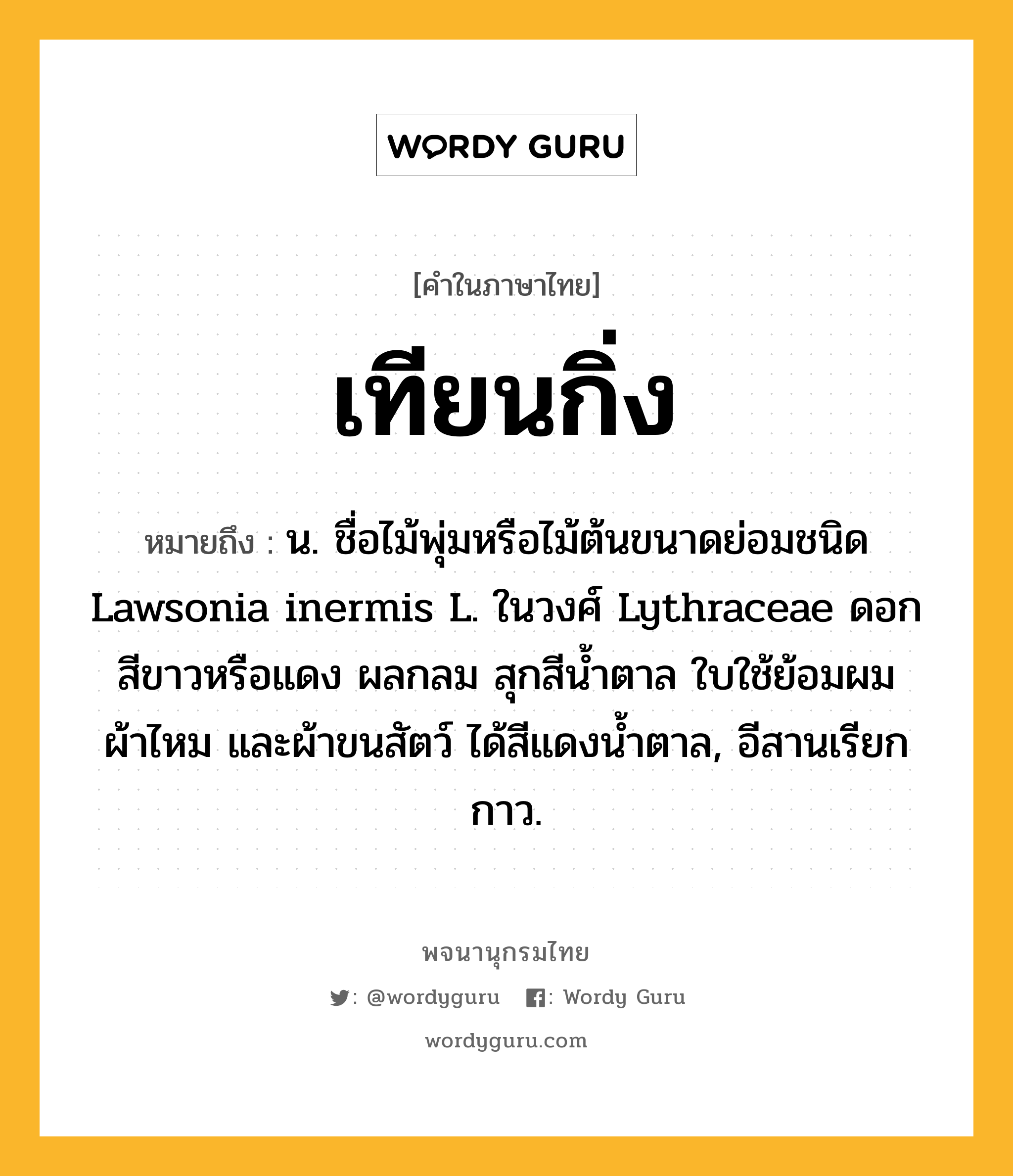 เทียนกิ่ง หมายถึงอะไร?, คำในภาษาไทย เทียนกิ่ง หมายถึง น. ชื่อไม้พุ่มหรือไม้ต้นขนาดย่อมชนิด Lawsonia inermis L. ในวงศ์ Lythraceae ดอกสีขาวหรือแดง ผลกลม สุกสีนํ้าตาล ใบใช้ย้อมผม ผ้าไหม และผ้าขนสัตว์ ได้สีแดงนํ้าตาล, อีสานเรียก กาว.