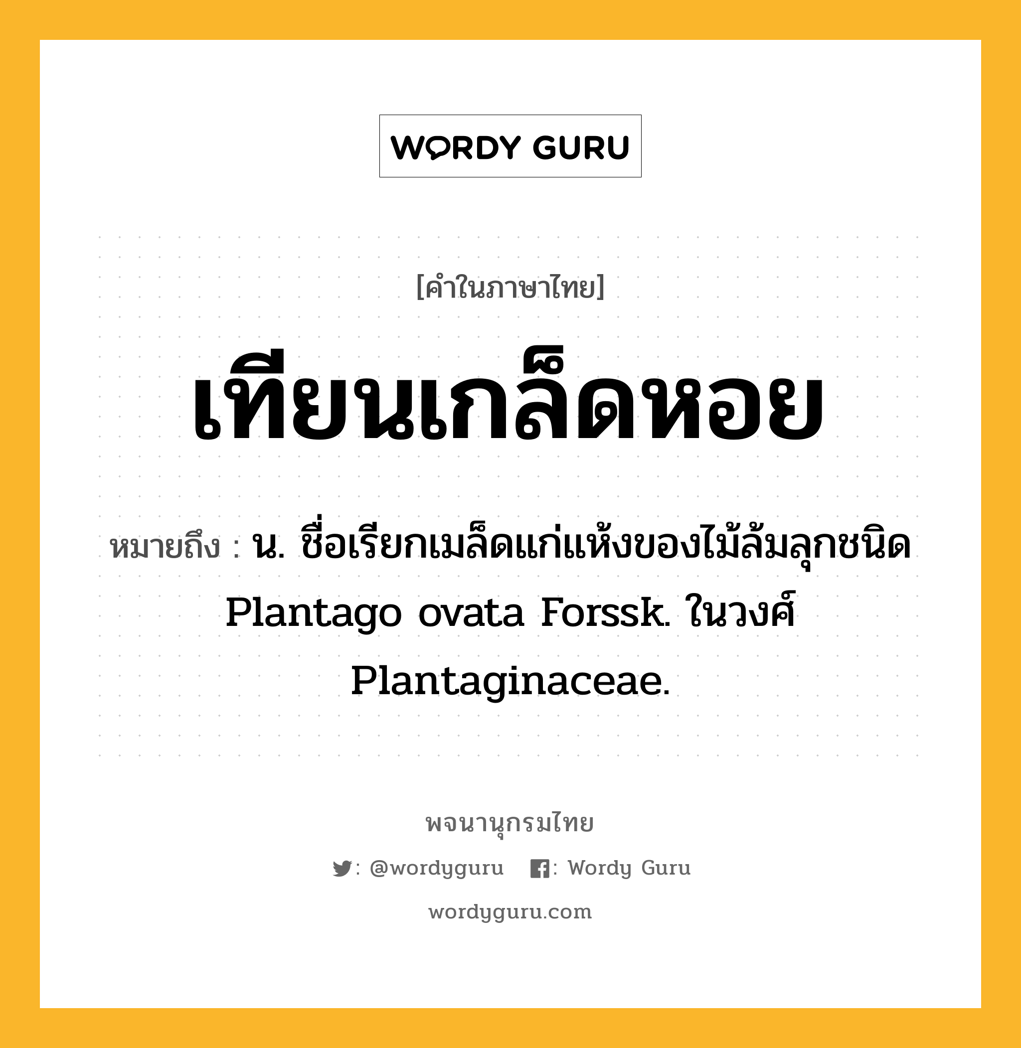 เทียนเกล็ดหอย ความหมาย หมายถึงอะไร?, คำในภาษาไทย เทียนเกล็ดหอย หมายถึง น. ชื่อเรียกเมล็ดแก่แห้งของไม้ล้มลุกชนิด Plantago ovata Forssk. ในวงศ์ Plantaginaceae.