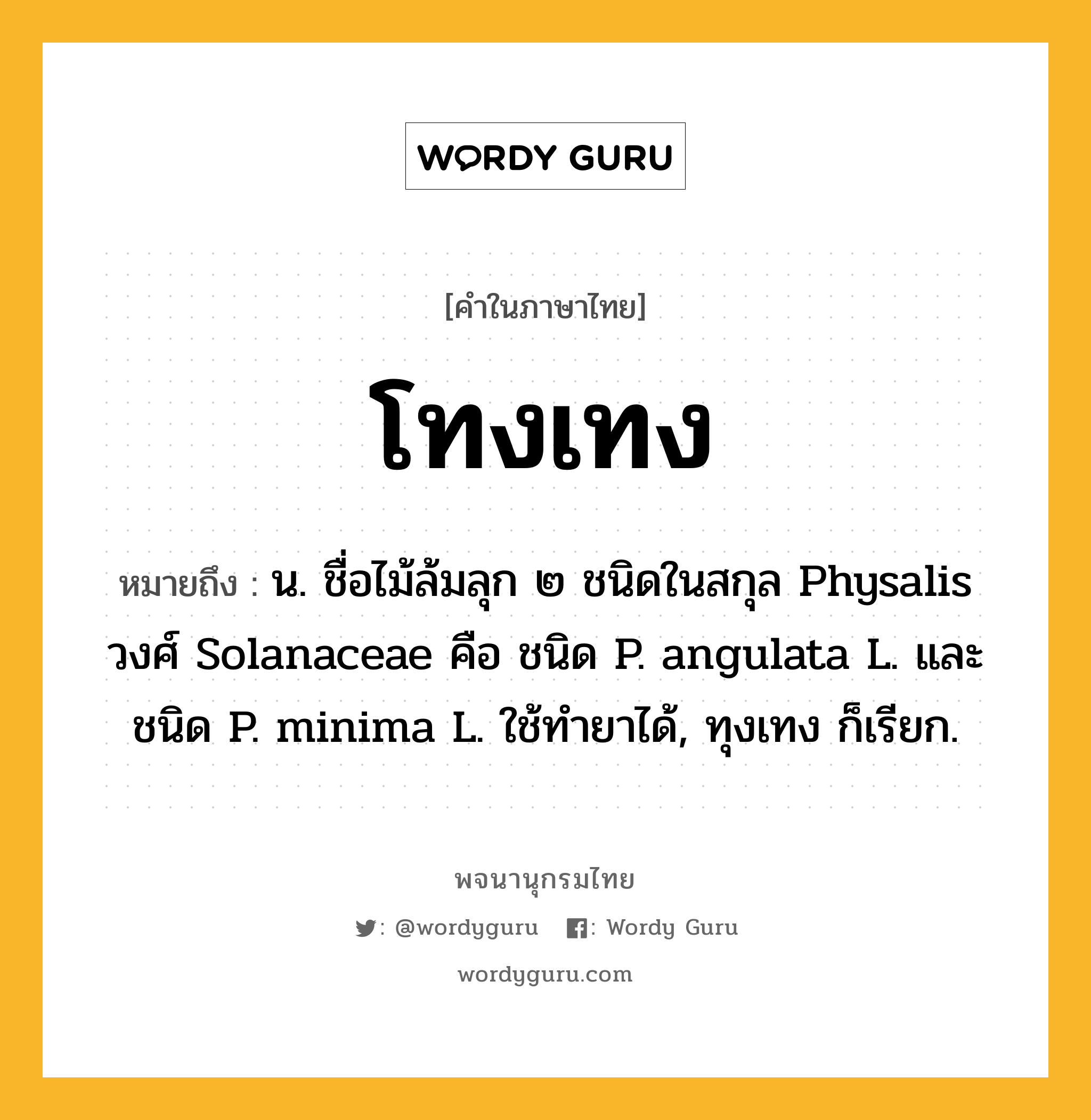 โทงเทง ความหมาย หมายถึงอะไร?, คำในภาษาไทย โทงเทง หมายถึง น. ชื่อไม้ล้มลุก ๒ ชนิดในสกุล Physalis วงศ์ Solanaceae คือ ชนิด P. angulata L. และชนิด P. minima L. ใช้ทํายาได้, ทุงเทง ก็เรียก.