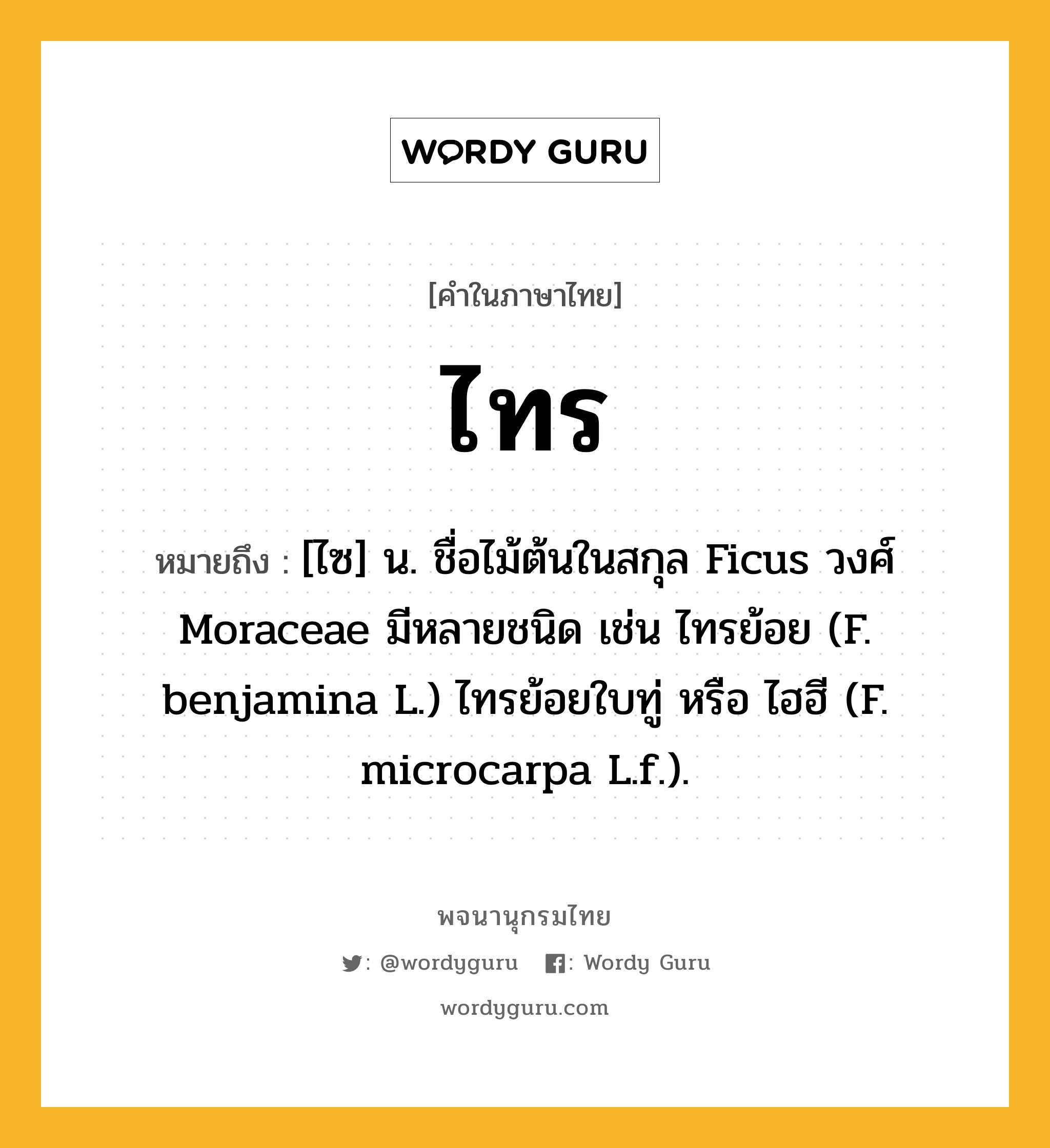 ไทร ความหมาย หมายถึงอะไร?, คำในภาษาไทย ไทร หมายถึง [ไซ] น. ชื่อไม้ต้นในสกุล Ficus วงศ์ Moraceae มีหลายชนิด เช่น ไทรย้อย (F. benjamina L.) ไทรย้อยใบทู่ หรือ ไฮฮี (F. microcarpa L.f.).