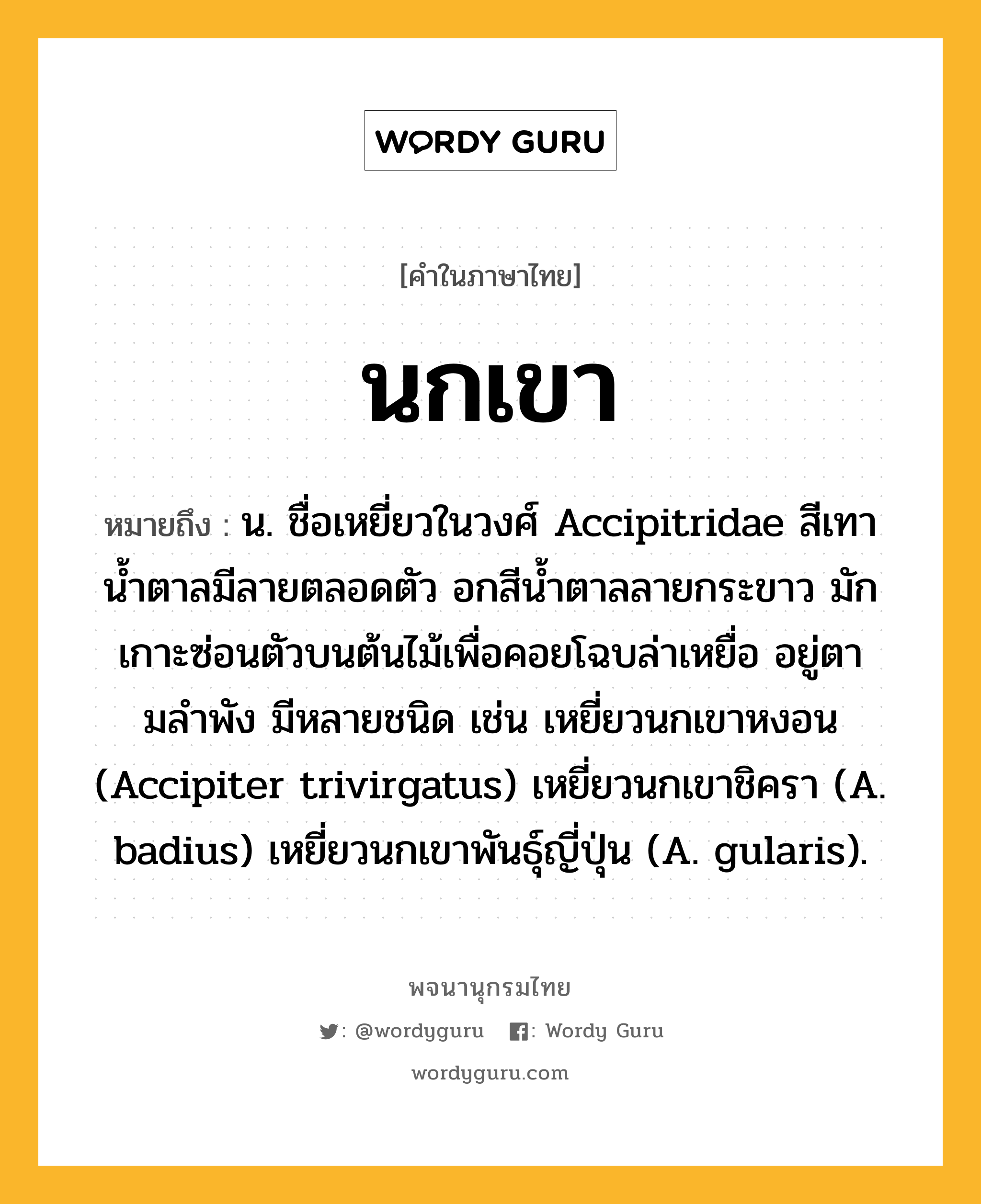 นกเขา หมายถึงอะไร?, คำในภาษาไทย นกเขา หมายถึง น. ชื่อเหยี่ยวในวงศ์ Accipitridae สีเทานํ้าตาลมีลายตลอดตัว อกสีนํ้าตาลลายกระขาว มักเกาะซ่อนตัวบนต้นไม้เพื่อคอยโฉบล่าเหยื่อ อยู่ตามลําพัง มีหลายชนิด เช่น เหยี่ยวนกเขาหงอน (Accipiter trivirgatus) เหยี่ยวนกเขาชิครา (A. badius) เหยี่ยวนกเขาพันธุ์ญี่ปุ่น (A. gularis).