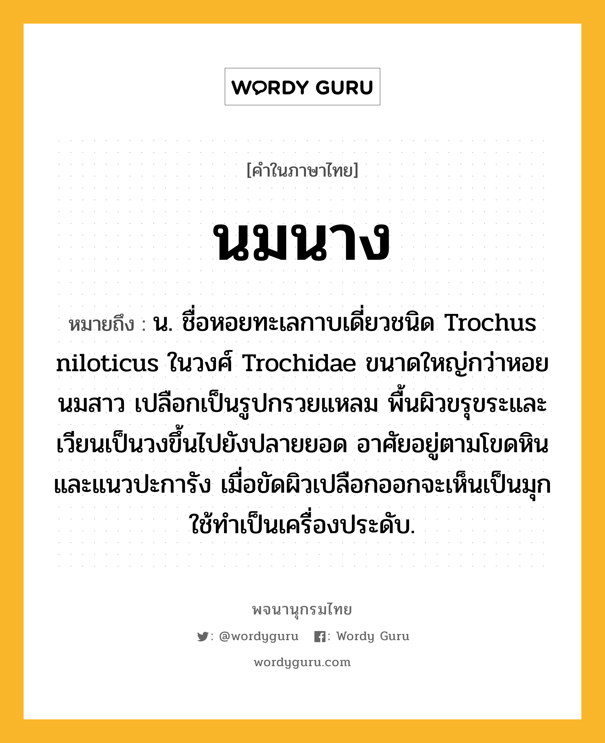 นมนาง หมายถึงอะไร?, คำในภาษาไทย นมนาง หมายถึง น. ชื่อหอยทะเลกาบเดี่ยวชนิด Trochus niloticus ในวงศ์ Trochidae ขนาดใหญ่กว่าหอยนมสาว เปลือกเป็นรูปกรวยแหลม พื้นผิวขรุขระและเวียนเป็นวงขึ้นไปยังปลายยอด อาศัยอยู่ตามโขดหินและแนวปะการัง เมื่อขัดผิวเปลือกออกจะเห็นเป็นมุก ใช้ทำเป็นเครื่องประดับ.