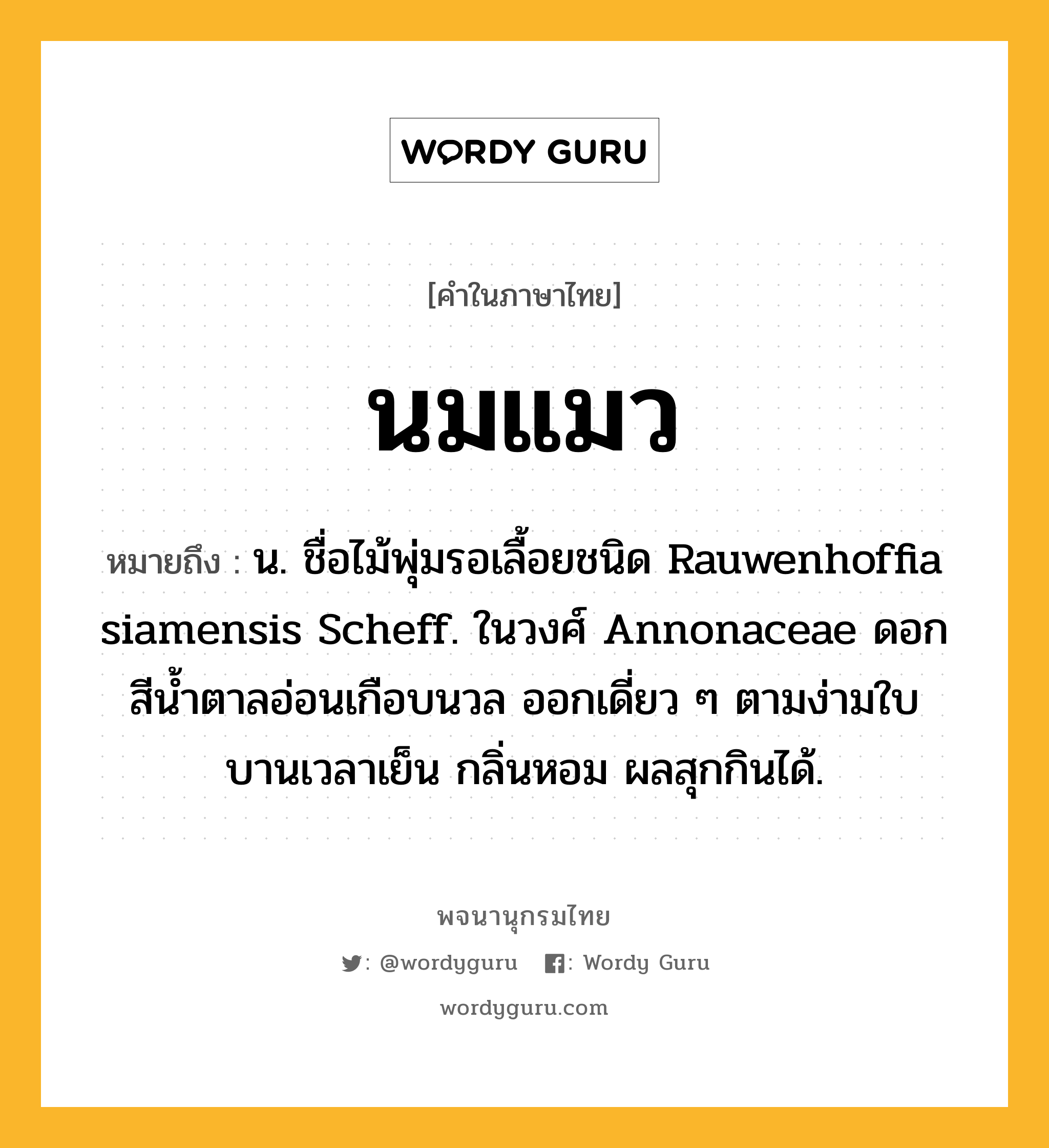 นมแมว หมายถึงอะไร?, คำในภาษาไทย นมแมว หมายถึง น. ชื่อไม้พุ่มรอเลื้อยชนิด Rauwenhoffia siamensis Scheff. ในวงศ์ Annonaceae ดอกสีนํ้าตาลอ่อนเกือบนวล ออกเดี่ยว ๆ ตามง่ามใบ บานเวลาเย็น กลิ่นหอม ผลสุกกินได้.