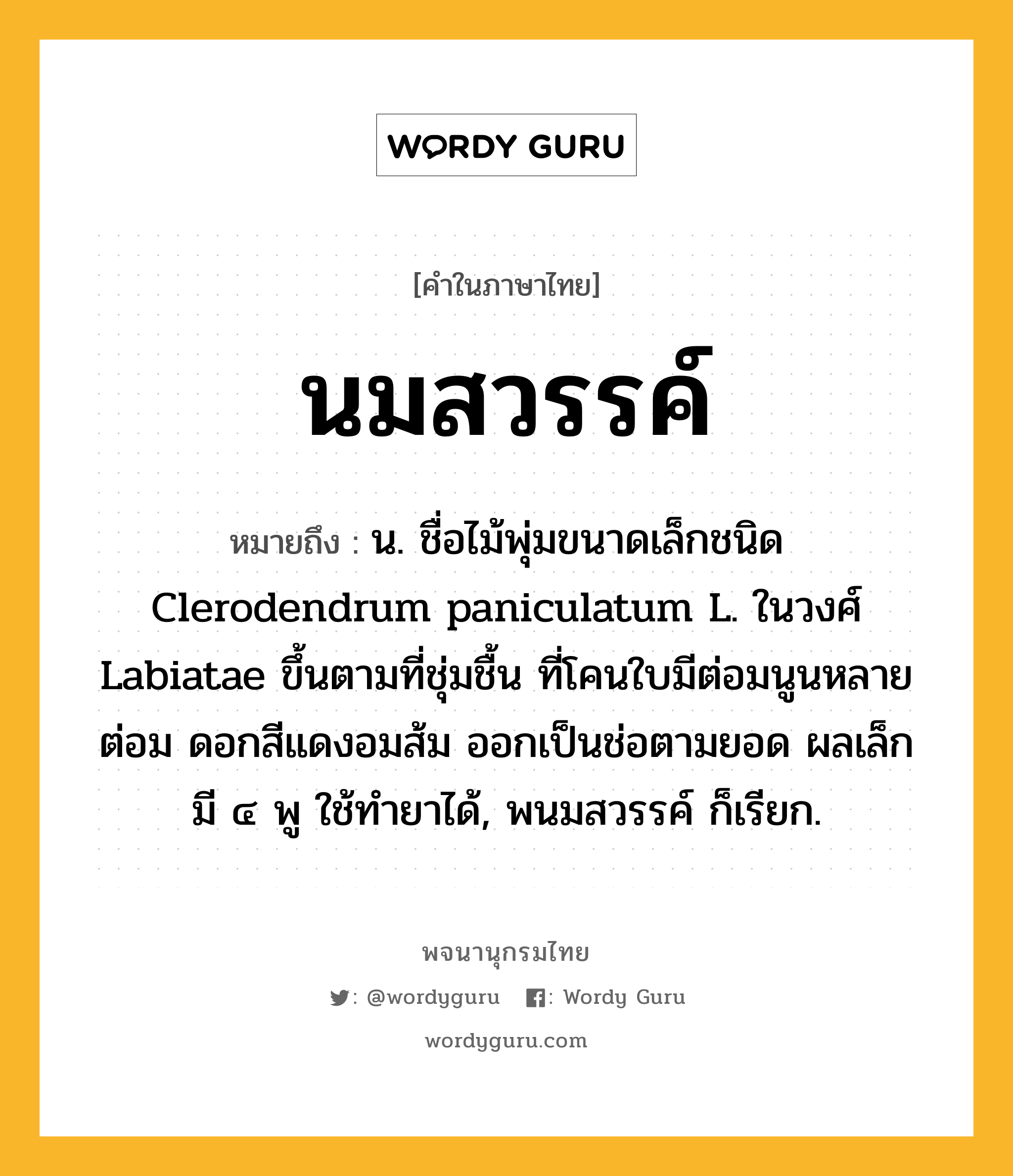 นมสวรรค์ หมายถึงอะไร?, คำในภาษาไทย นมสวรรค์ หมายถึง น. ชื่อไม้พุ่มขนาดเล็กชนิด Clerodendrum paniculatum L. ในวงศ์ Labiatae ขึ้นตามที่ชุ่มชื้น ที่โคนใบมีต่อมนูนหลายต่อม ดอกสีแดงอมส้ม ออกเป็นช่อตามยอด ผลเล็ก มี ๔ พู ใช้ทํายาได้, พนมสวรรค์ ก็เรียก.