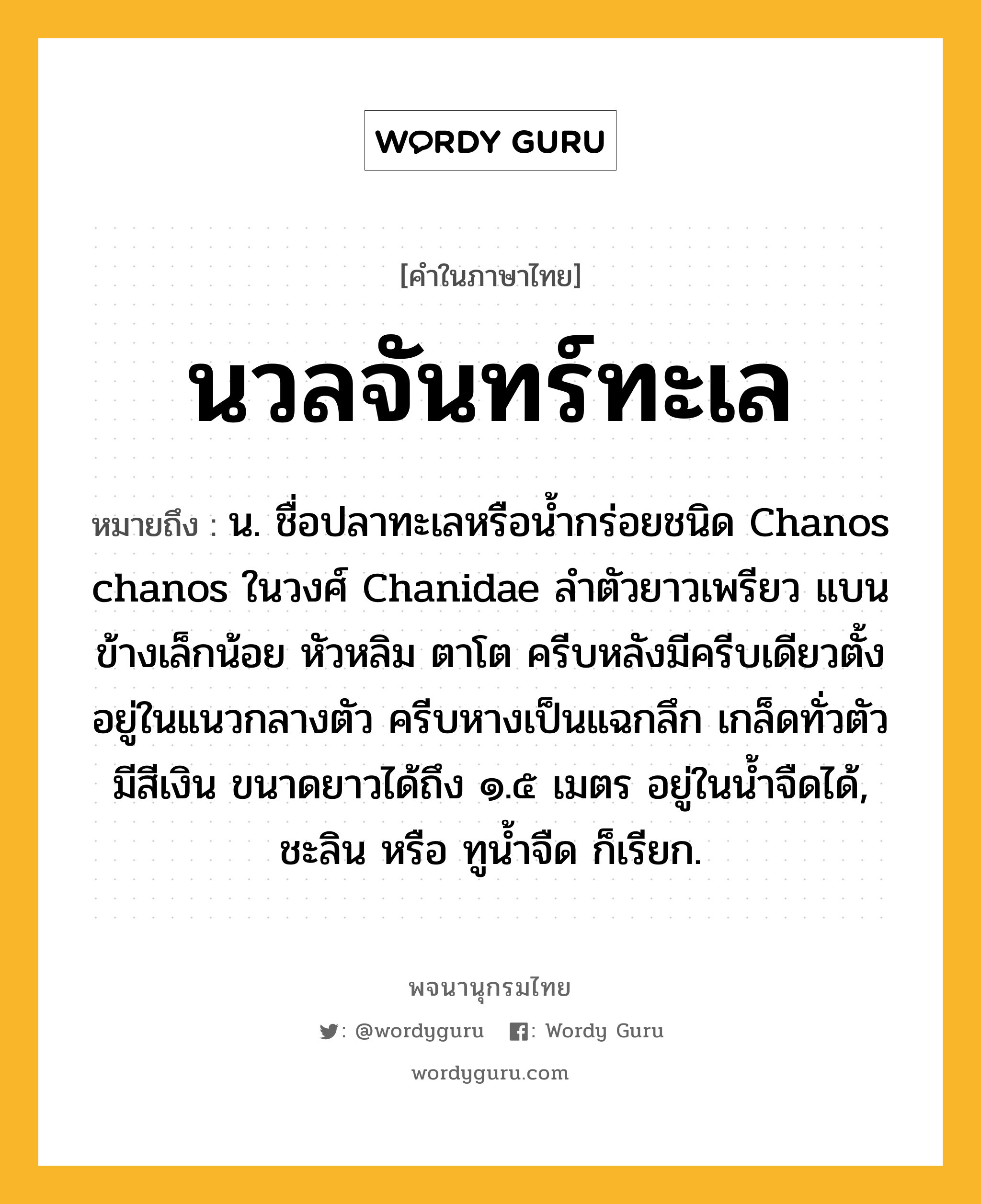 นวลจันทร์ทะเล หมายถึงอะไร?, คำในภาษาไทย นวลจันทร์ทะเล หมายถึง น. ชื่อปลาทะเลหรือน้ำกร่อยชนิด Chanos chanos ในวงศ์ Chanidae ลำตัวยาวเพรียว แบนข้างเล็กน้อย หัวหลิม ตาโต ครีบหลังมีครีบเดียวตั้งอยู่ในแนวกลางตัว ครีบหางเป็นแฉกลึก เกล็ดทั่วตัวมีสีเงิน ขนาดยาวได้ถึง ๑.๕ เมตร อยู่ในน้ำจืดได้, ชะลิน หรือ ทูน้ำจืด ก็เรียก.