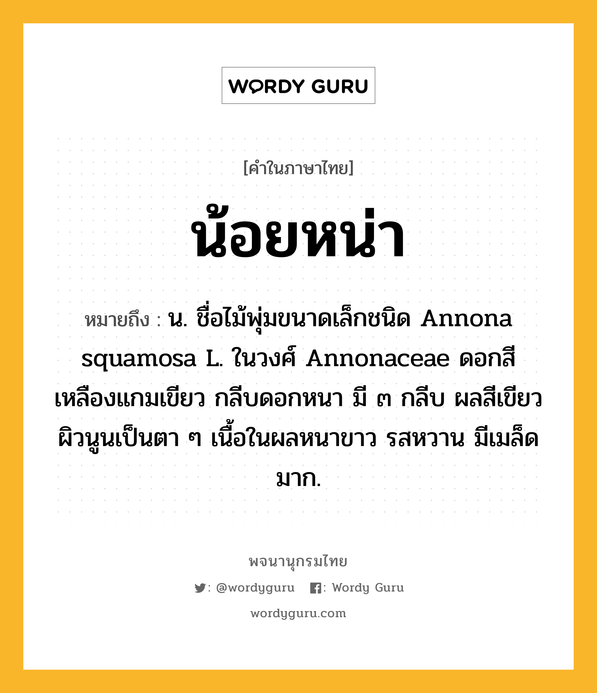 น้อยหน่า หมายถึงอะไร?, คำในภาษาไทย น้อยหน่า หมายถึง น. ชื่อไม้พุ่มขนาดเล็กชนิด Annona squamosa L. ในวงศ์ Annonaceae ดอกสีเหลืองแกมเขียว กลีบดอกหนา มี ๓ กลีบ ผลสีเขียว ผิวนูนเป็นตา ๆ เนื้อในผลหนาขาว รสหวาน มีเมล็ดมาก.