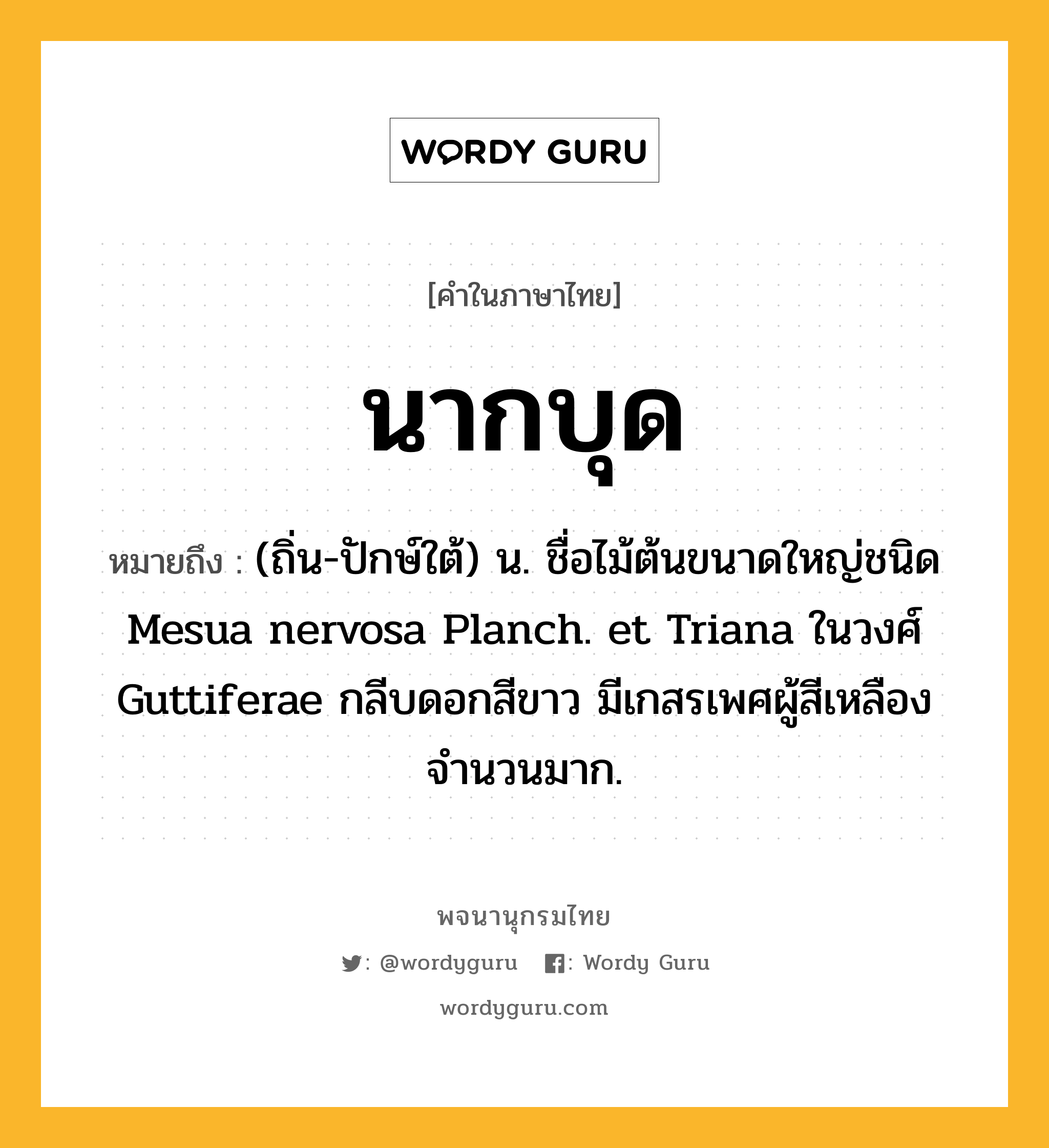 นากบุด หมายถึงอะไร?, คำในภาษาไทย นากบุด หมายถึง (ถิ่น-ปักษ์ใต้) น. ชื่อไม้ต้นขนาดใหญ่ชนิด Mesua nervosa Planch. et Triana ในวงศ์ Guttiferae กลีบดอกสีขาว มีเกสรเพศผู้สีเหลืองจำนวนมาก.