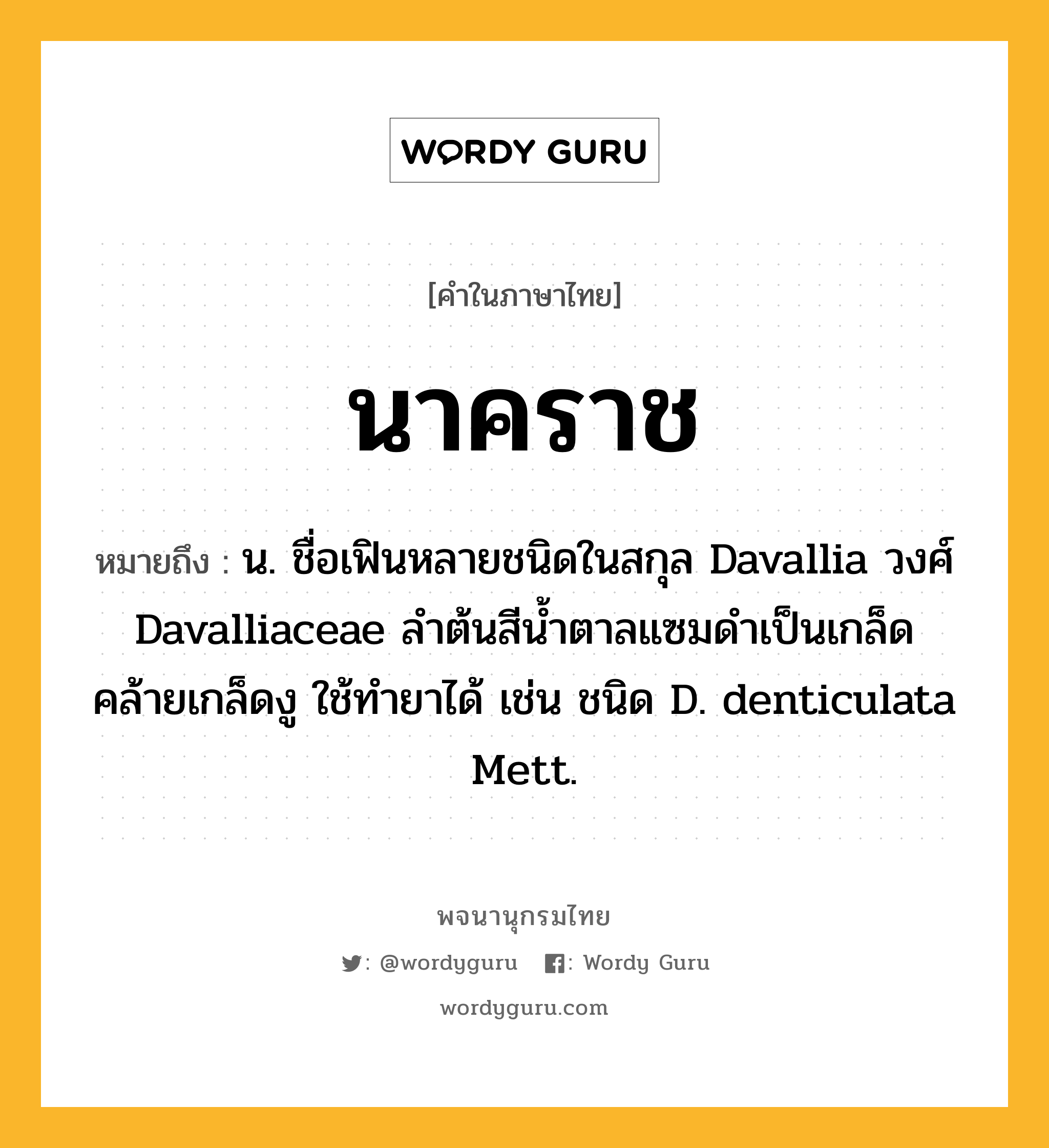 นาคราช หมายถึงอะไร?, คำในภาษาไทย นาคราช หมายถึง น. ชื่อเฟินหลายชนิดในสกุล Davallia วงศ์ Davalliaceae ลําต้นสีนํ้าตาลแซมดําเป็นเกล็ดคล้ายเกล็ดงู ใช้ทํายาได้ เช่น ชนิด D. denticulata Mett.