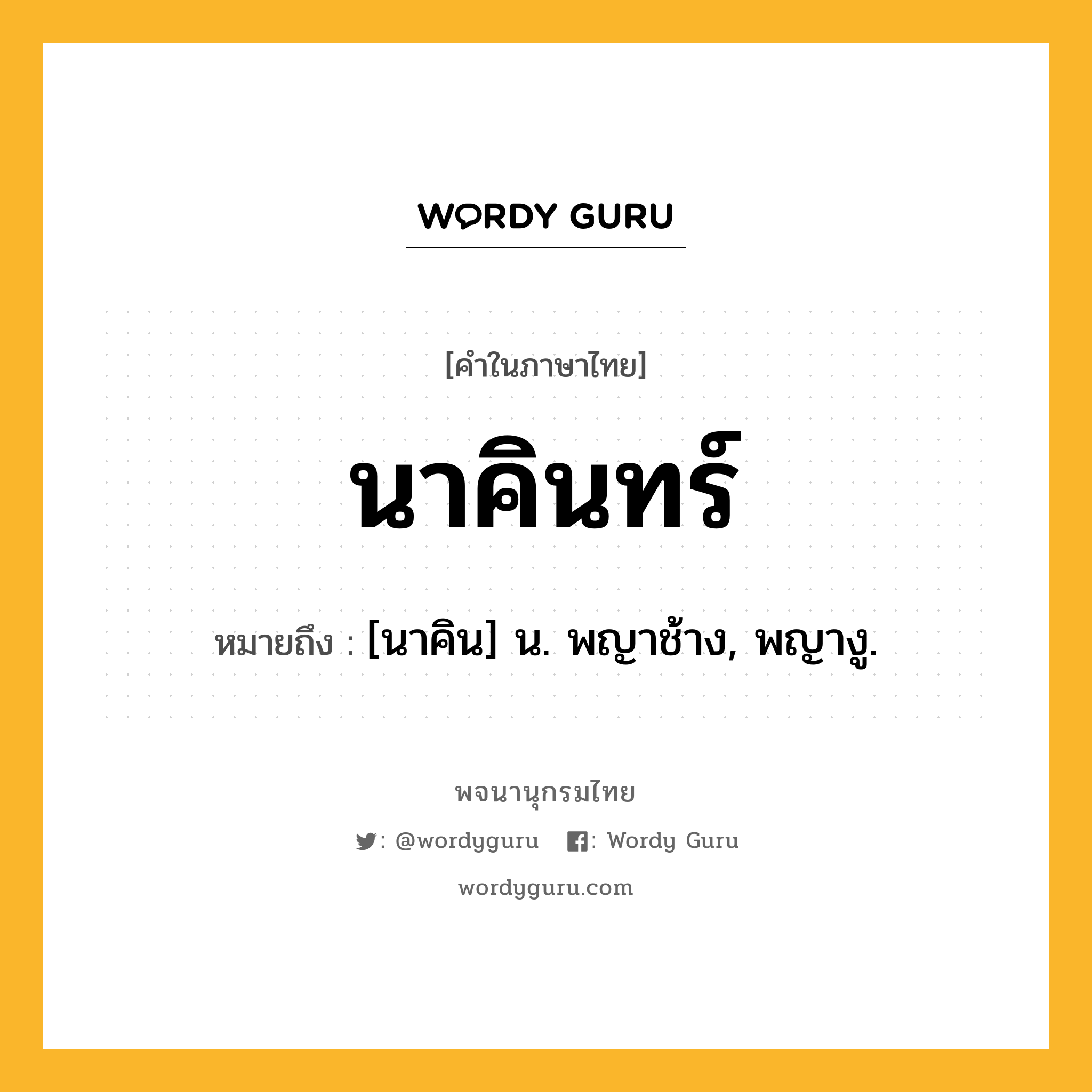 นาคินทร์ หมายถึงอะไร?, คำในภาษาไทย นาคินทร์ หมายถึง [นาคิน] น. พญาช้าง, พญางู.