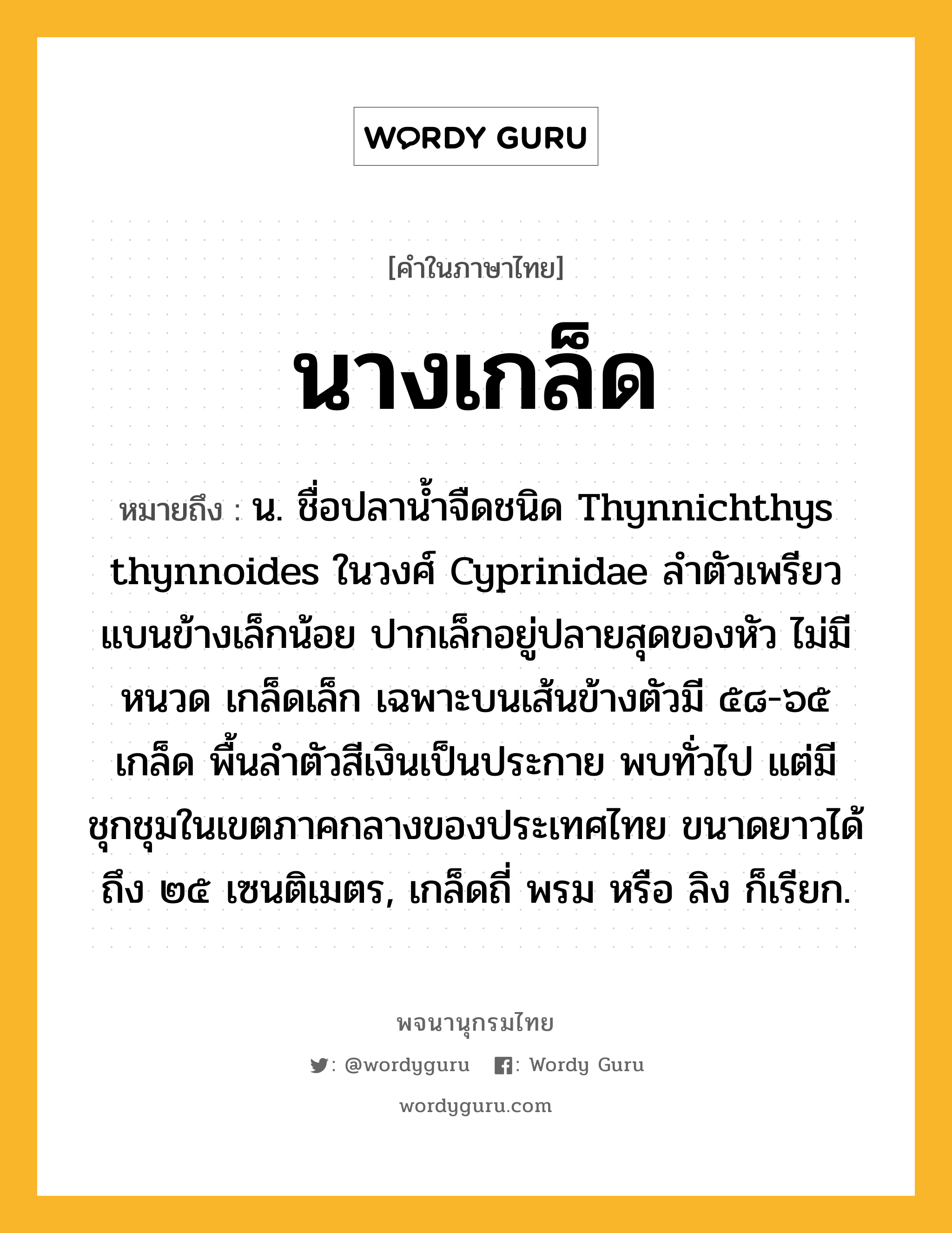 นางเกล็ด หมายถึงอะไร?, คำในภาษาไทย นางเกล็ด หมายถึง น. ชื่อปลานํ้าจืดชนิด Thynnichthys thynnoides ในวงศ์ Cyprinidae ลําตัวเพรียว แบนข้างเล็กน้อย ปากเล็กอยู่ปลายสุดของหัว ไม่มีหนวด เกล็ดเล็ก เฉพาะบนเส้นข้างตัวมี ๕๘-๖๕ เกล็ด พื้นลําตัวสีเงินเป็นประกาย พบทั่วไป แต่มีชุกชุมในเขตภาคกลางของประเทศไทย ขนาดยาวได้ถึง ๒๕ เซนติเมตร, เกล็ดถี่ พรม หรือ ลิง ก็เรียก.