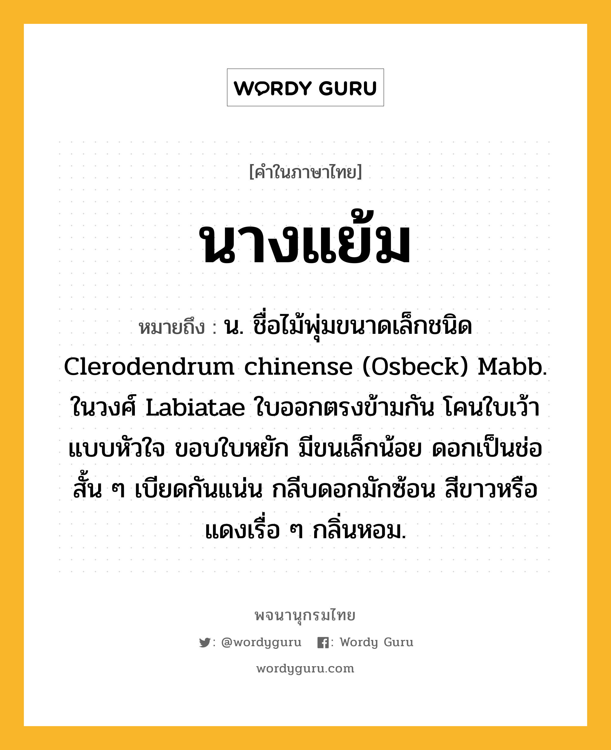 นางแย้ม หมายถึงอะไร?, คำในภาษาไทย นางแย้ม หมายถึง น. ชื่อไม้พุ่มขนาดเล็กชนิด Clerodendrum chinense (Osbeck) Mabb. ในวงศ์ Labiatae ใบออกตรงข้ามกัน โคนใบเว้าแบบหัวใจ ขอบใบหยัก มีขนเล็กน้อย ดอกเป็นช่อสั้น ๆ เบียดกันแน่น กลีบดอกมักซ้อน สีขาวหรือแดงเรื่อ ๆ กลิ่นหอม.