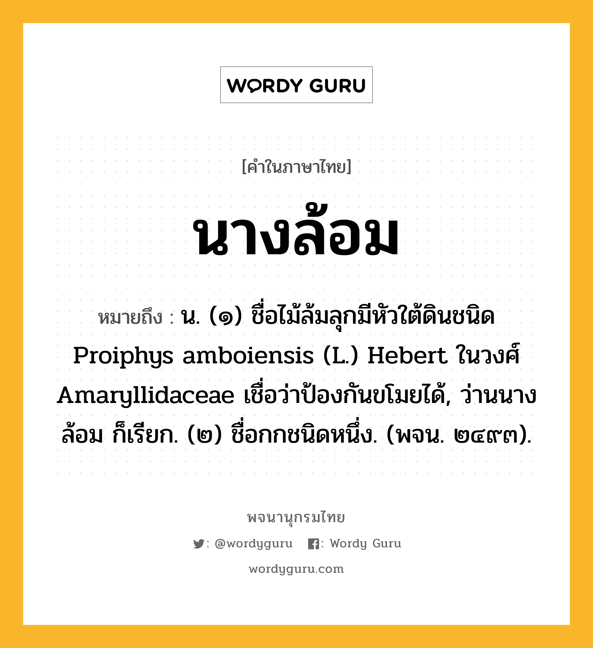 นางล้อม ความหมาย หมายถึงอะไร?, คำในภาษาไทย นางล้อม หมายถึง น. (๑) ชื่อไม้ล้มลุกมีหัวใต้ดินชนิด Proiphys amboiensis (L.) Hebert ในวงศ์ Amaryllidaceae เชื่อว่าป้องกันขโมยได้, ว่านนางล้อม ก็เรียก. (๒) ชื่อกกชนิดหนึ่ง. (พจน. ๒๔๙๓).