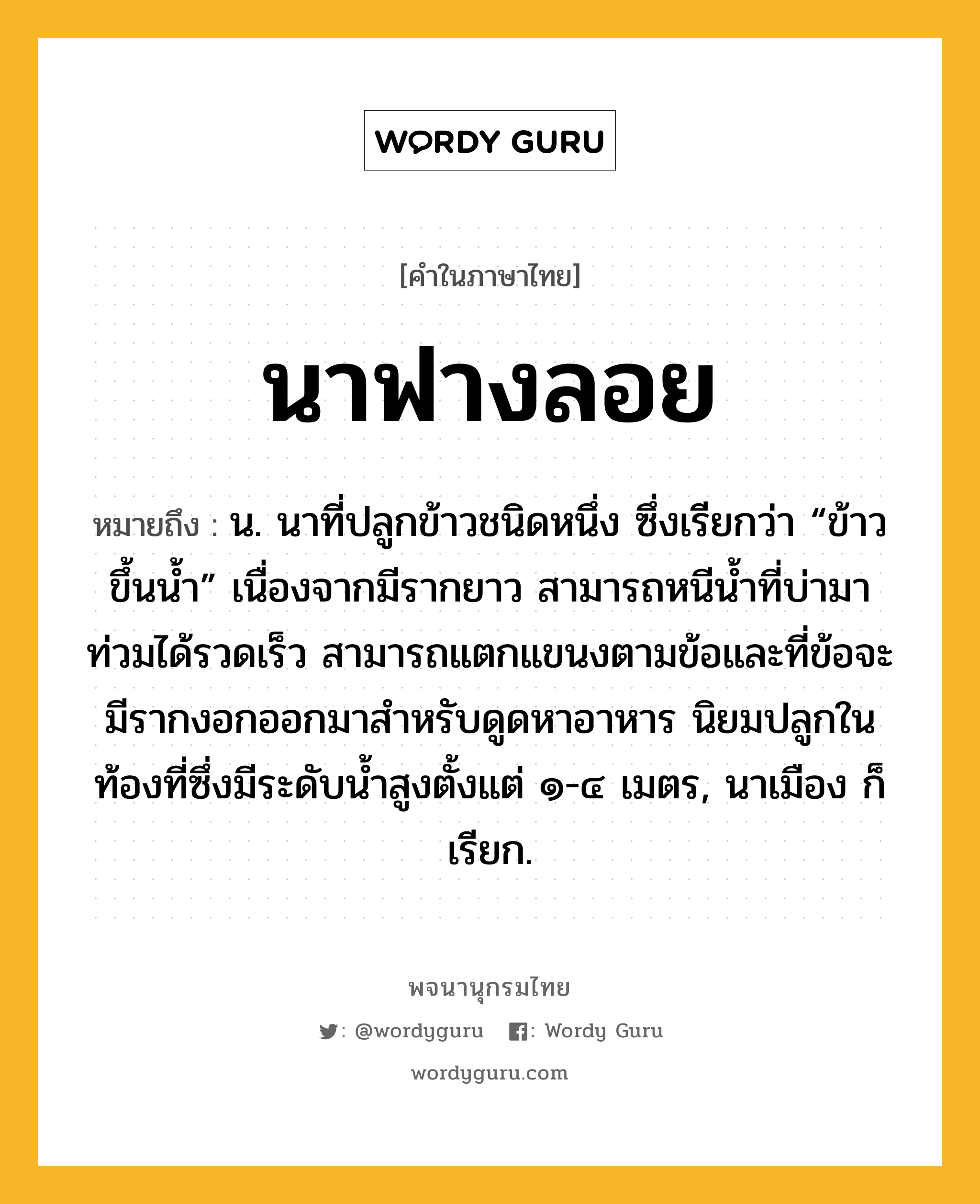 นาฟางลอย ความหมาย หมายถึงอะไร?, คำในภาษาไทย นาฟางลอย หมายถึง น. นาที่ปลูกข้าวชนิดหนึ่ง ซึ่งเรียกว่า “ข้าวขึ้นน้ำ” เนื่องจากมีรากยาว สามารถหนีน้ำที่บ่ามาท่วมได้รวดเร็ว สามารถแตกแขนงตามข้อและที่ข้อจะมีรากงอกออกมาสำหรับดูดหาอาหาร นิยมปลูกในท้องที่ซึ่งมีระดับน้ำสูงตั้งแต่ ๑-๔ เมตร, นาเมือง ก็เรียก.