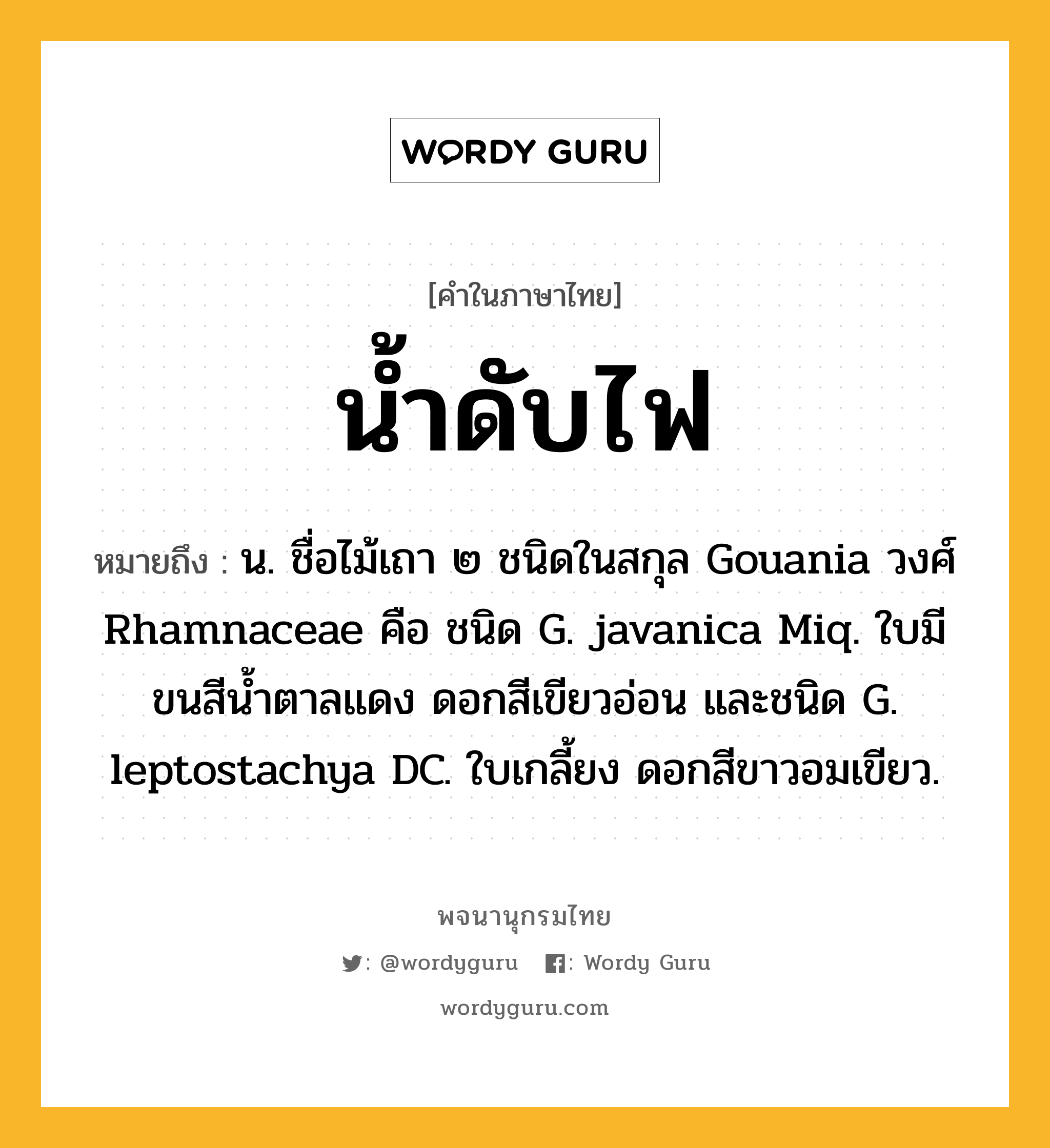 น้ำดับไฟ หมายถึงอะไร?, คำในภาษาไทย น้ำดับไฟ หมายถึง น. ชื่อไม้เถา ๒ ชนิดในสกุล Gouania วงศ์ Rhamnaceae คือ ชนิด G. javanica Miq. ใบมีขนสีน้ำตาลแดง ดอกสีเขียวอ่อน และชนิด G. leptostachya DC. ใบเกลี้ยง ดอกสีขาวอมเขียว.