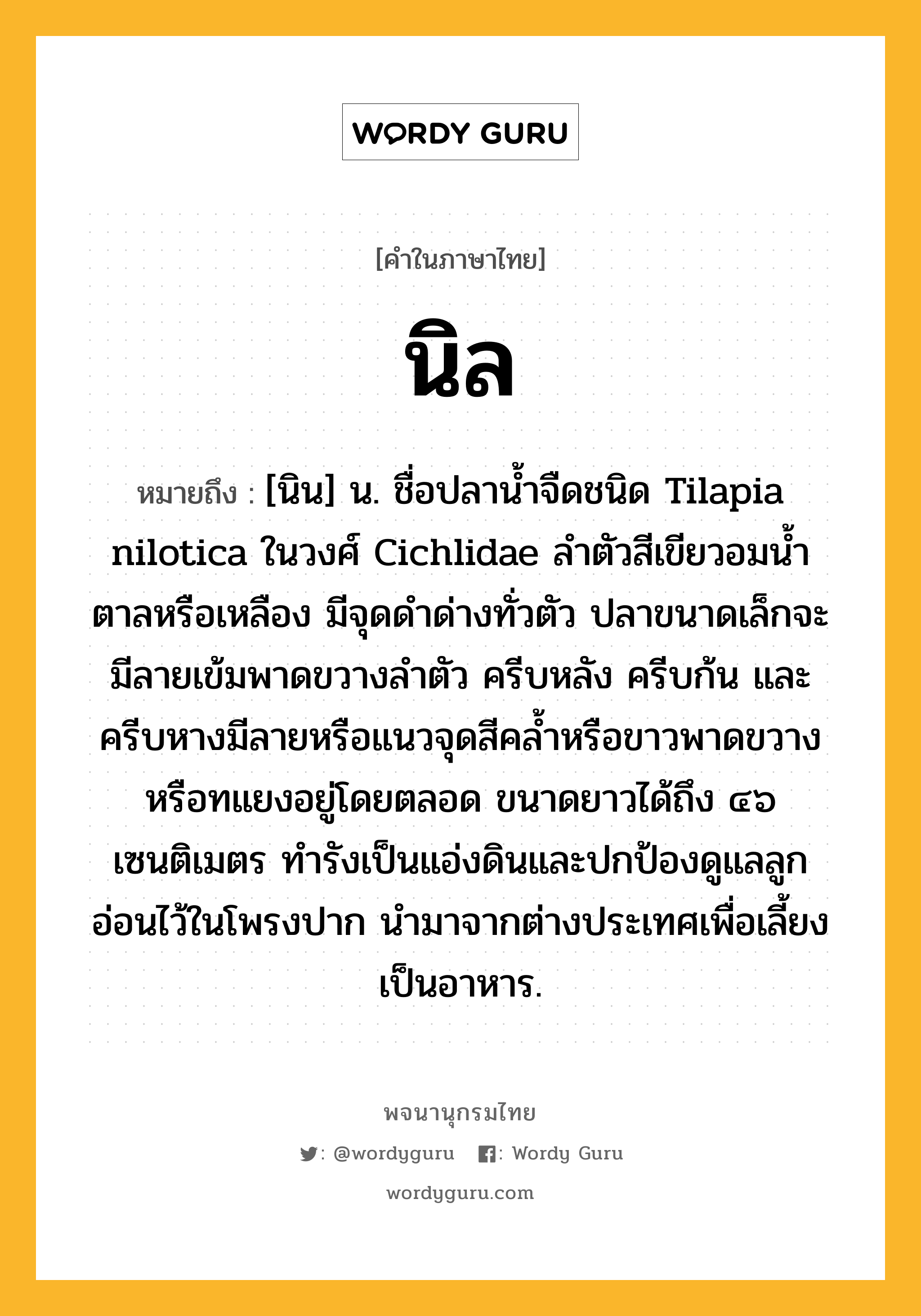 นิล ความหมาย หมายถึงอะไร?, คำในภาษาไทย นิล หมายถึง [นิน] น. ชื่อปลานํ้าจืดชนิด Tilapia nilotica ในวงศ์ Cichlidae ลําตัวสีเขียวอมนํ้าตาลหรือเหลือง มีจุดดําด่างทั่วตัว ปลาขนาดเล็กจะมีลายเข้มพาดขวางลําตัว ครีบหลัง ครีบก้น และครีบหางมีลายหรือแนวจุดสีคลํ้าหรือขาวพาดขวางหรือทแยงอยู่โดยตลอด ขนาดยาวได้ถึง ๔๖ เซนติเมตร ทํารังเป็นแอ่งดินและปกป้องดูแลลูกอ่อนไว้ในโพรงปาก นํามาจากต่างประเทศเพื่อเลี้ยงเป็นอาหาร.