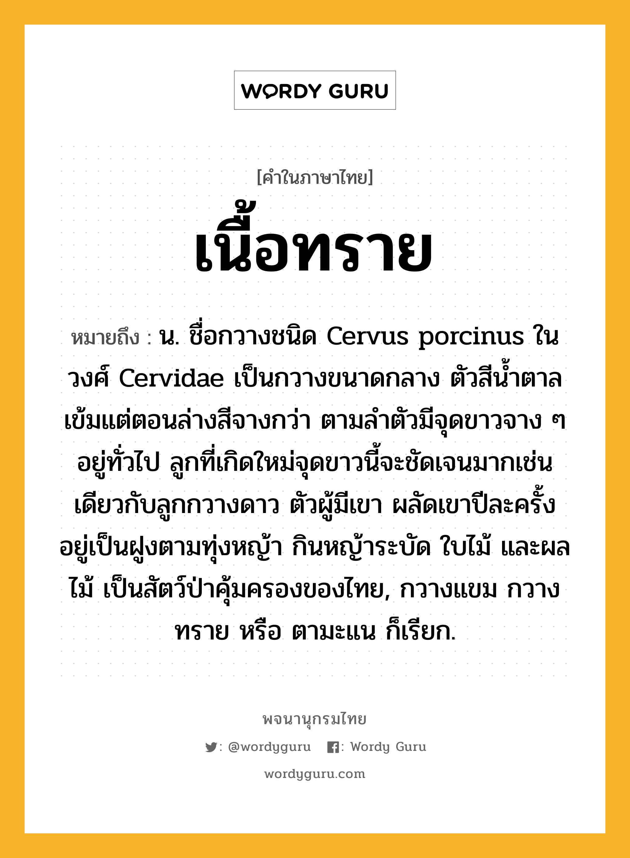 เนื้อทราย หมายถึงอะไร?, คำในภาษาไทย เนื้อทราย หมายถึง น. ชื่อกวางชนิด Cervus porcinus ในวงศ์ Cervidae เป็นกวางขนาดกลาง ตัวสีนํ้าตาลเข้มแต่ตอนล่างสีจางกว่า ตามลําตัวมีจุดขาวจาง ๆ อยู่ทั่วไป ลูกที่เกิดใหม่จุดขาวนี้จะชัดเจนมากเช่นเดียวกับลูกกวางดาว ตัวผู้มีเขา ผลัดเขาปีละครั้ง อยู่เป็นฝูงตามทุ่งหญ้า กินหญ้าระบัด ใบไม้ และผลไม้ เป็นสัตว์ป่าคุ้มครองของไทย, กวางแขม กวางทราย หรือ ตามะแน ก็เรียก.