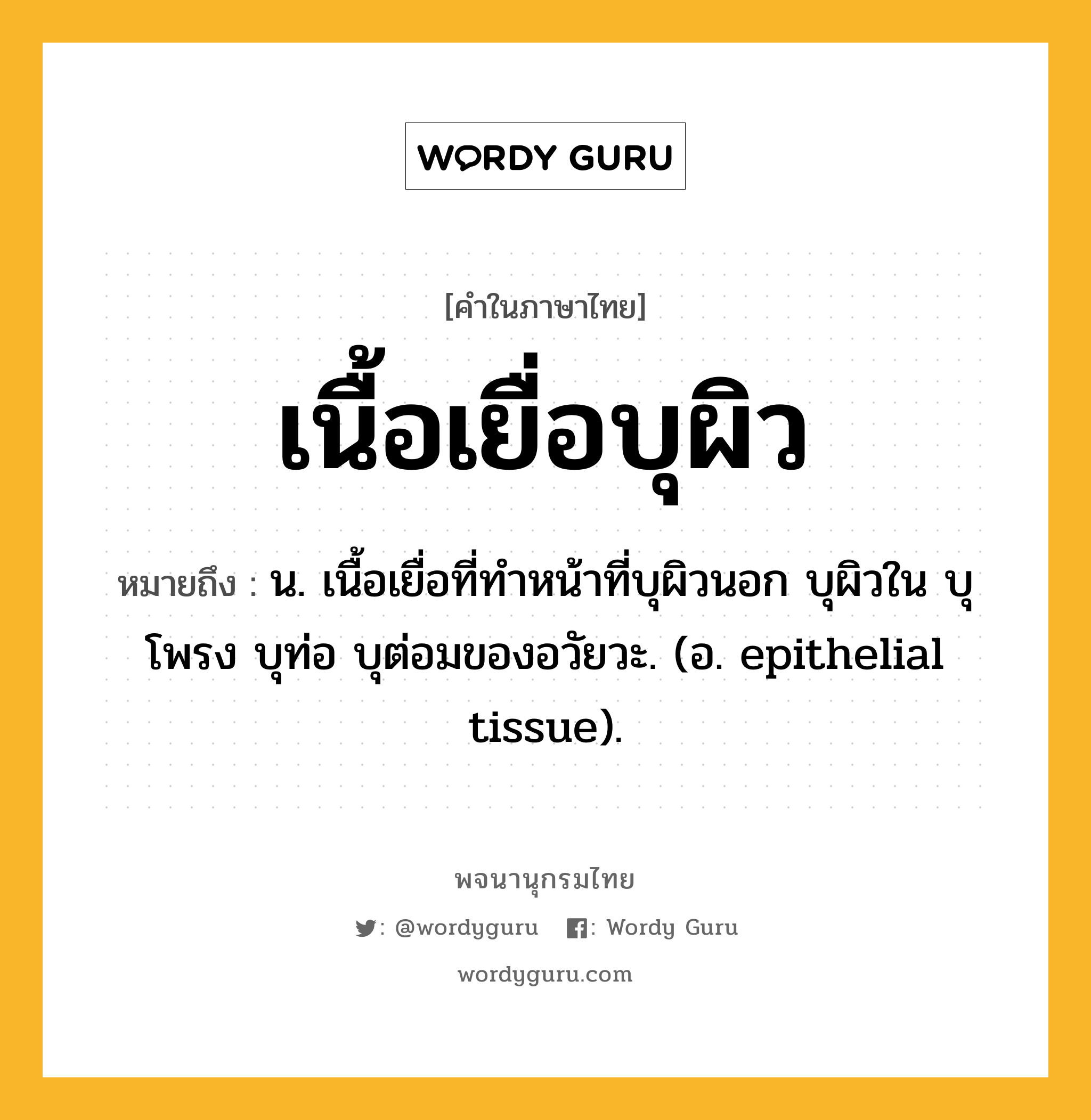 เนื้อเยื่อบุผิว หมายถึงอะไร?, คำในภาษาไทย เนื้อเยื่อบุผิว หมายถึง น. เนื้อเยื่อที่ทําหน้าที่บุผิวนอก บุผิวใน บุโพรง บุท่อ บุต่อมของอวัยวะ. (อ. epithelial tissue).