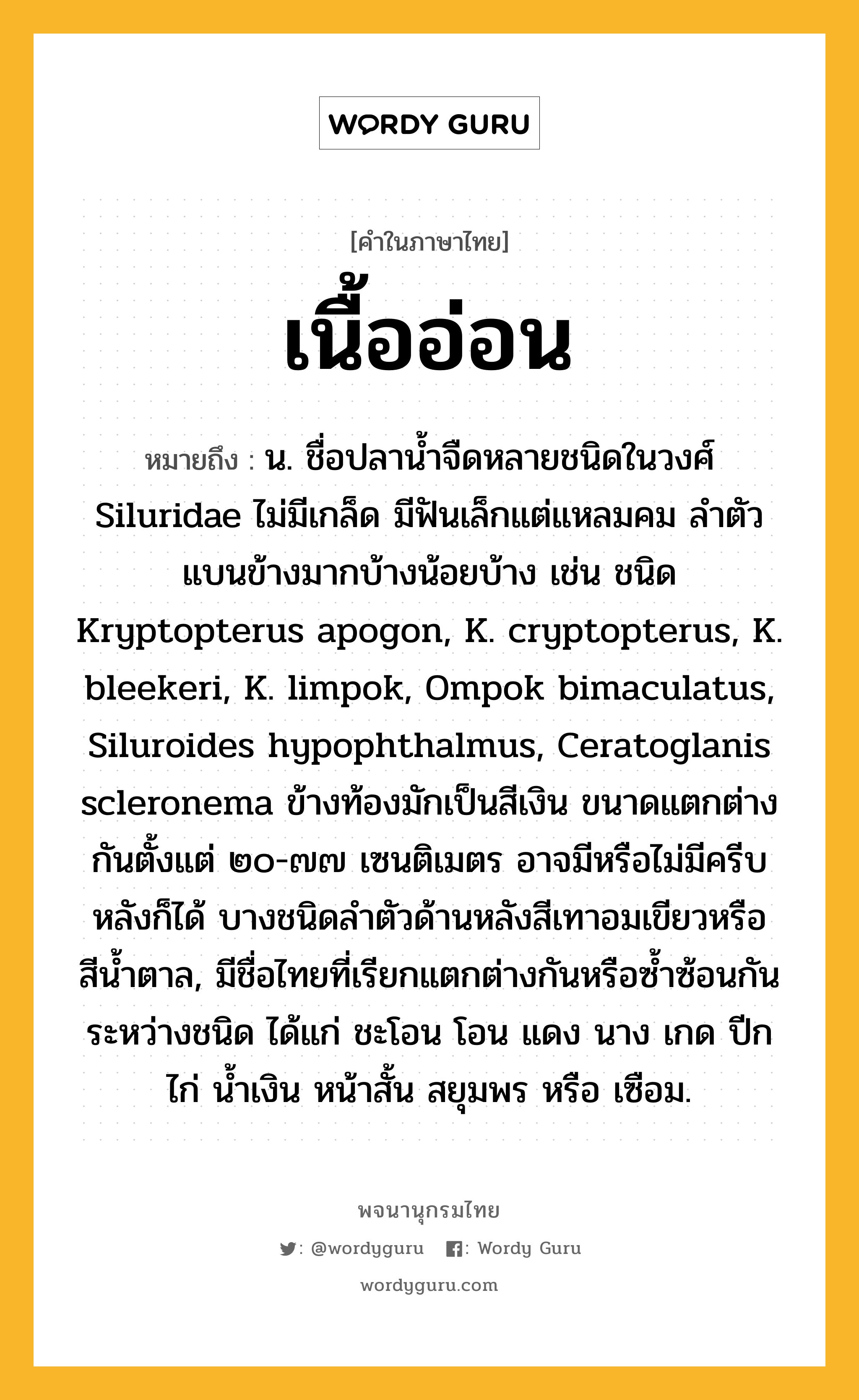 เนื้ออ่อน หมายถึงอะไร?, คำในภาษาไทย เนื้ออ่อน หมายถึง น. ชื่อปลานํ้าจืดหลายชนิดในวงศ์ Siluridae ไม่มีเกล็ด มีฟันเล็กแต่แหลมคม ลําตัวแบนข้างมากบ้างน้อยบ้าง เช่น ชนิด Kryptopterus apogon, K. cryptopterus, K. bleekeri, K. limpok, Ompok bimaculatus, Siluroides hypophthalmus, Ceratoglanis scleronema ข้างท้องมักเป็นสีเงิน ขนาดแตกต่างกันตั้งแต่ ๒๐-๗๗ เซนติเมตร อาจมีหรือไม่มีครีบหลังก็ได้ บางชนิดลําตัวด้านหลังสีเทาอมเขียวหรือสีนํ้าตาล, มีชื่อไทยที่เรียกแตกต่างกันหรือซํ้าซ้อนกันระหว่างชนิด ได้แก่ ชะโอน โอน แดง นาง เกด ปีกไก่ นํ้าเงิน หน้าสั้น สยุมพร หรือ เซือม.