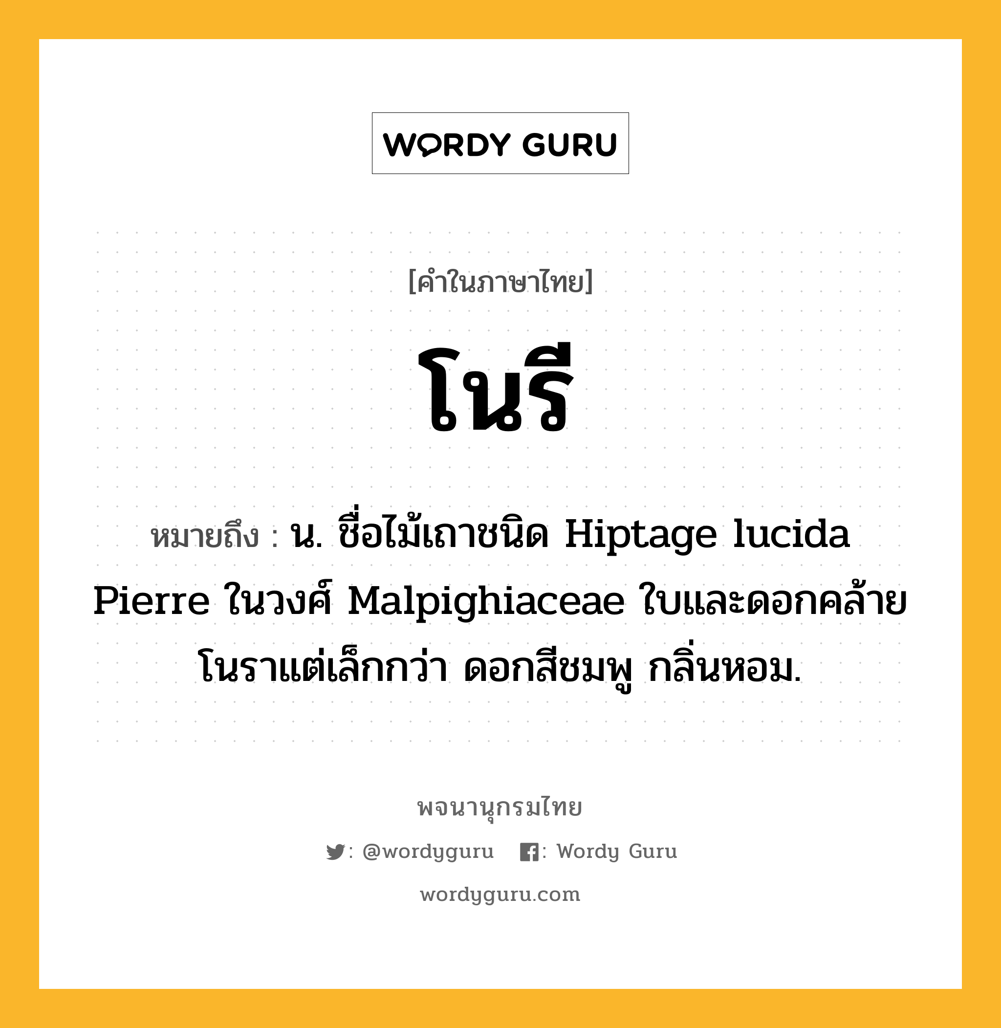 โนรี หมายถึงอะไร?, คำในภาษาไทย โนรี หมายถึง น. ชื่อไม้เถาชนิด Hiptage lucida Pierre ในวงศ์ Malpighiaceae ใบและดอกคล้ายโนราแต่เล็กกว่า ดอกสีชมพู กลิ่นหอม.