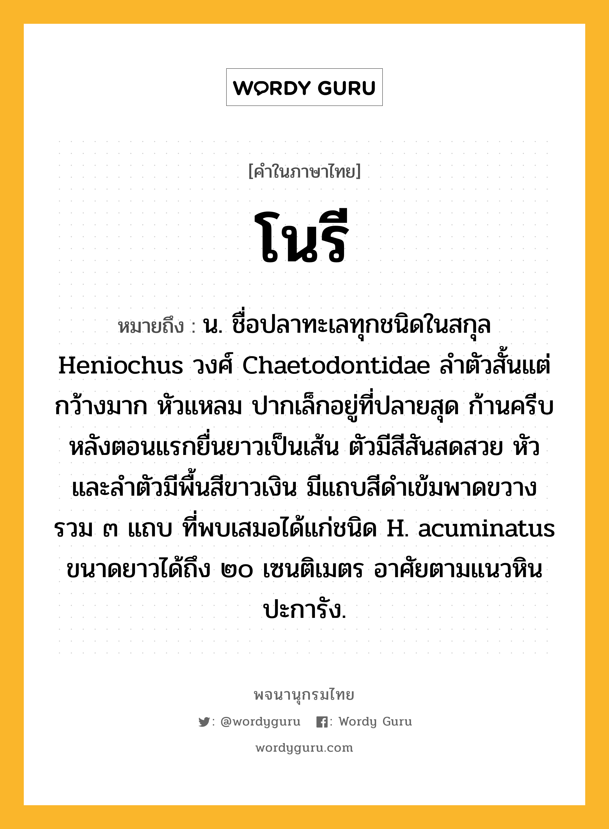 โนรี หมายถึงอะไร?, คำในภาษาไทย โนรี หมายถึง น. ชื่อปลาทะเลทุกชนิดในสกุล Heniochus วงศ์ Chaetodontidae ลําตัวสั้นแต่กว้างมาก หัวแหลม ปากเล็กอยู่ที่ปลายสุด ก้านครีบหลังตอนแรกยื่นยาวเป็นเส้น ตัวมีสีสันสดสวย หัวและลําตัวมีพื้นสีขาวเงิน มีแถบสีดําเข้มพาดขวางรวม ๓ แถบ ที่พบเสมอได้แก่ชนิด H. acuminatus ขนาดยาวได้ถึง ๒๐ เซนติเมตร อาศัยตามแนวหินปะการัง.