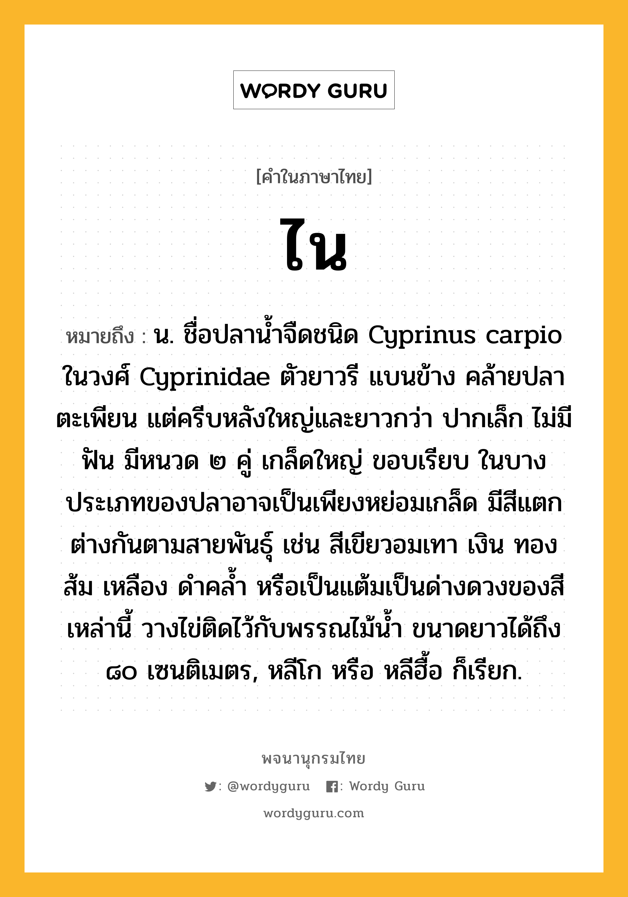 ไน หมายถึงอะไร?, คำในภาษาไทย ไน หมายถึง น. ชื่อปลานํ้าจืดชนิด Cyprinus carpio ในวงศ์ Cyprinidae ตัวยาวรี แบนข้าง คล้ายปลาตะเพียน แต่ครีบหลังใหญ่และยาวกว่า ปากเล็ก ไม่มีฟัน มีหนวด ๒ คู่ เกล็ดใหญ่ ขอบเรียบ ในบางประเภทของปลาอาจเป็นเพียงหย่อมเกล็ด มีสีแตกต่างกันตามสายพันธุ์ เช่น สีเขียวอมเทา เงิน ทอง ส้ม เหลือง ดําคลํ้า หรือเป็นแต้มเป็นด่างดวงของสีเหล่านี้ วางไข่ติดไว้กับพรรณไม้นํ้า ขนาดยาวได้ถึง ๘๐ เซนติเมตร, หลีโก หรือ หลีฮื้อ ก็เรียก.