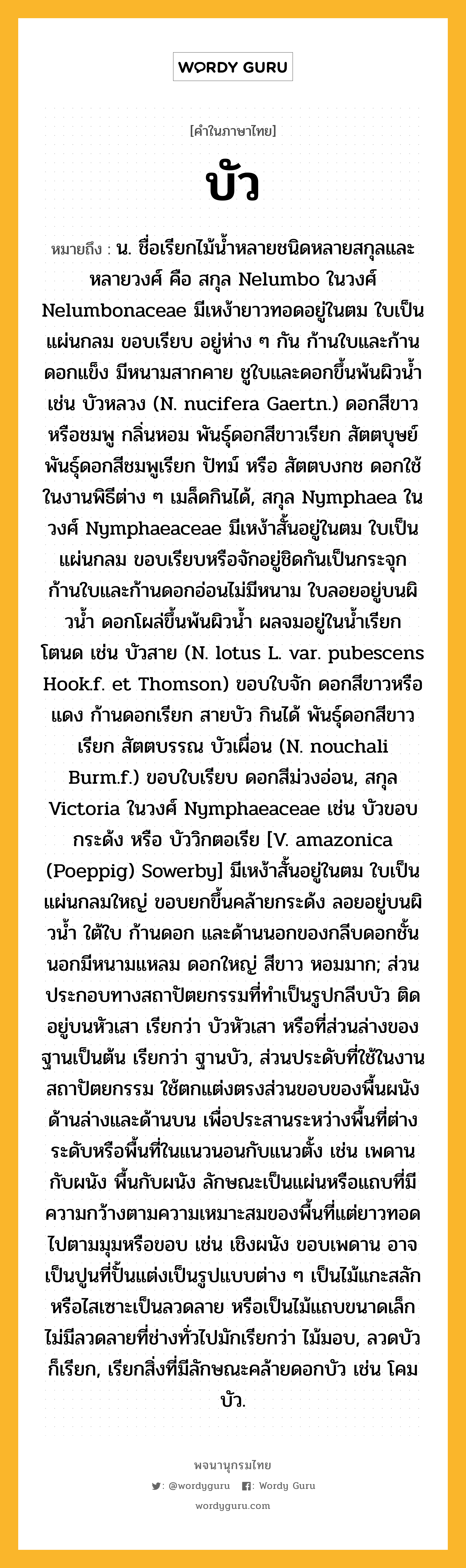 บัว หมายถึงอะไร?, คำในภาษาไทย บัว หมายถึง น. ชื่อเรียกไม้นํ้าหลายชนิดหลายสกุลและหลายวงศ์ คือ สกุล Nelumbo ในวงศ์ Nelumbonaceae มีเหง้ายาวทอดอยู่ในตม ใบเป็นแผ่นกลม ขอบเรียบ อยู่ห่าง ๆ กัน ก้านใบและก้านดอกแข็ง มีหนามสากคาย ชูใบและดอกขึ้นพ้นผิวนํ้า เช่น บัวหลวง (N. nucifera Gaertn.) ดอกสีขาวหรือชมพู กลิ่นหอม พันธุ์ดอกสีขาวเรียก สัตตบุษย์ พันธุ์ดอกสีชมพูเรียก ปัทม์ หรือ สัตตบงกช ดอกใช้ในงานพิธีต่าง ๆ เมล็ดกินได้, สกุล Nymphaea ในวงศ์ Nymphaeaceae มีเหง้าสั้นอยู่ในตม ใบเป็นแผ่นกลม ขอบเรียบหรือจักอยู่ชิดกันเป็นกระจุก ก้านใบและก้านดอกอ่อนไม่มีหนาม ใบลอยอยู่บนผิวนํ้า ดอกโผล่ขึ้นพ้นผิวนํ้า ผลจมอยู่ในนํ้าเรียก โตนด เช่น บัวสาย (N. lotus L. var. pubescens Hook.f. et Thomson) ขอบใบจัก ดอกสีขาวหรือแดง ก้านดอกเรียก สายบัว กินได้ พันธุ์ดอกสีขาวเรียก สัตตบรรณ บัวเผื่อน (N. nouchali Burm.f.) ขอบใบเรียบ ดอกสีม่วงอ่อน, สกุล Victoria ในวงศ์ Nymphaeaceae เช่น บัวขอบกระด้ง หรือ บัววิกตอเรีย [V. amazonica (Poeppig) Sowerby] มีเหง้าสั้นอยู่ในตม ใบเป็นแผ่นกลมใหญ่ ขอบยกขึ้นคล้ายกระด้ง ลอยอยู่บนผิวนํ้า ใต้ใบ ก้านดอก และด้านนอกของกลีบดอกชั้นนอกมีหนามแหลม ดอกใหญ่ สีขาว หอมมาก; ส่วนประกอบทางสถาปัตยกรรมที่ทําเป็นรูปกลีบบัว ติดอยู่บนหัวเสา เรียกว่า บัวหัวเสา หรือที่ส่วนล่างของฐานเป็นต้น เรียกว่า ฐานบัว, ส่วนประดับที่ใช้ในงานสถาปัตยกรรม ใช้ตกแต่งตรงส่วนขอบของพื้นผนังด้านล่างและด้านบน เพื่อประสานระหว่างพื้นที่ต่างระดับหรือพื้นที่ในแนวนอนกับแนวตั้ง เช่น เพดานกับผนัง พื้นกับผนัง ลักษณะเป็นแผ่นหรือแถบที่มีความกว้างตามความเหมาะสมของพื้นที่แต่ยาวทอดไปตามมุมหรือขอบ เช่น เชิงผนัง ขอบเพดาน อาจเป็นปูนที่ปั้นแต่งเป็นรูปแบบต่าง ๆ เป็นไม้แกะสลักหรือไสเซาะเป็นลวดลาย หรือเป็นไม้แถบขนาดเล็กไม่มีลวดลายที่ช่างทั่วไปมักเรียกว่า ไม้มอบ, ลวดบัว ก็เรียก, เรียกสิ่งที่มีลักษณะคล้ายดอกบัว เช่น โคมบัว.