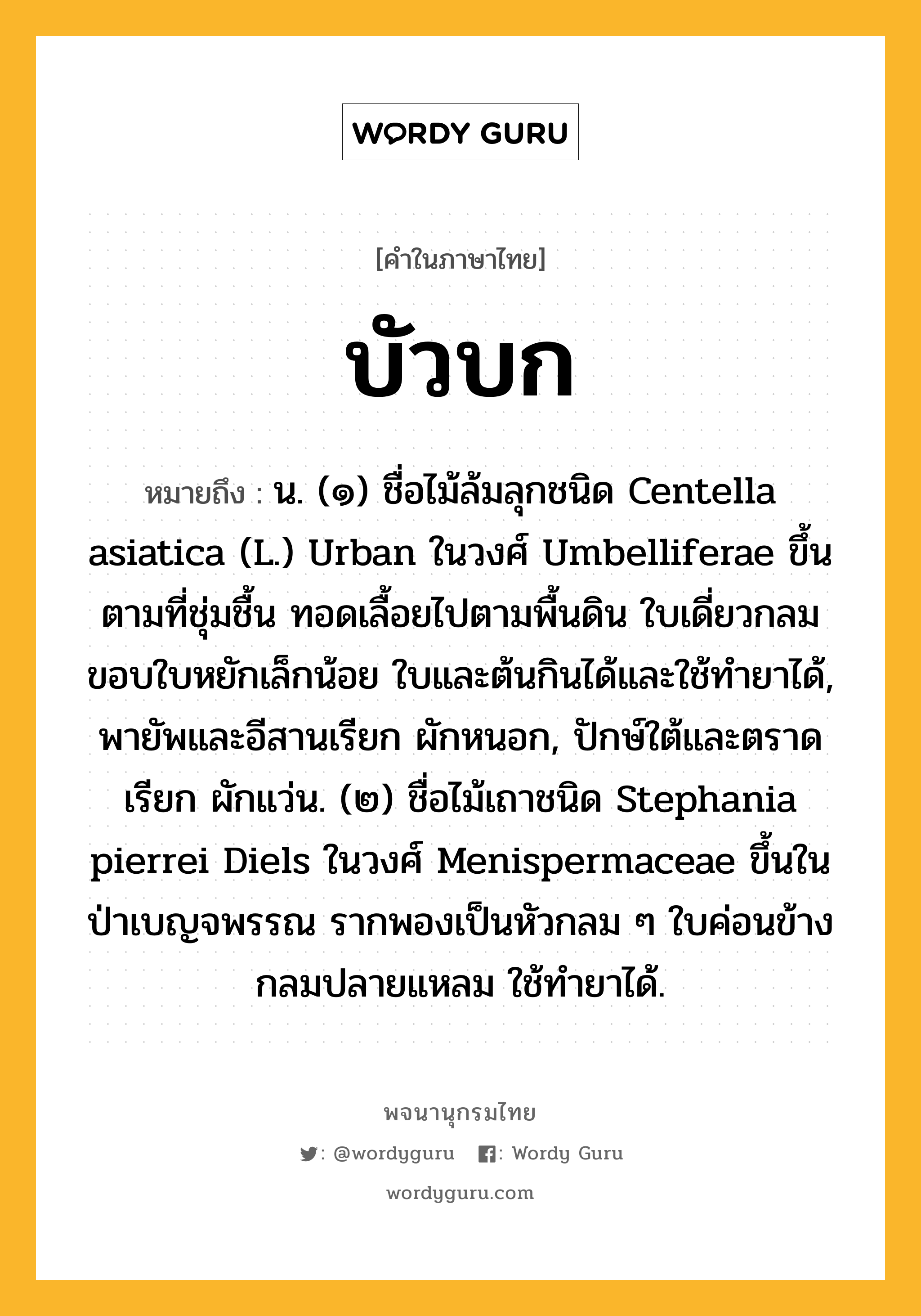 บัวบก หมายถึงอะไร?, คำในภาษาไทย บัวบก หมายถึง น. (๑) ชื่อไม้ล้มลุกชนิด Centella asiatica (L.) Urban ในวงศ์ Umbelliferae ขึ้นตามที่ชุ่มชื้น ทอดเลื้อยไปตามพื้นดิน ใบเดี่ยวกลม ขอบใบหยักเล็กน้อย ใบและต้นกินได้และใช้ทํายาได้, พายัพและอีสานเรียก ผักหนอก, ปักษ์ใต้และตราดเรียก ผักแว่น. (๒) ชื่อไม้เถาชนิด Stephania pierrei Diels ในวงศ์ Menispermaceae ขึ้นในป่าเบญจพรรณ รากพองเป็นหัวกลม ๆ ใบค่อนข้างกลมปลายแหลม ใช้ทํายาได้.