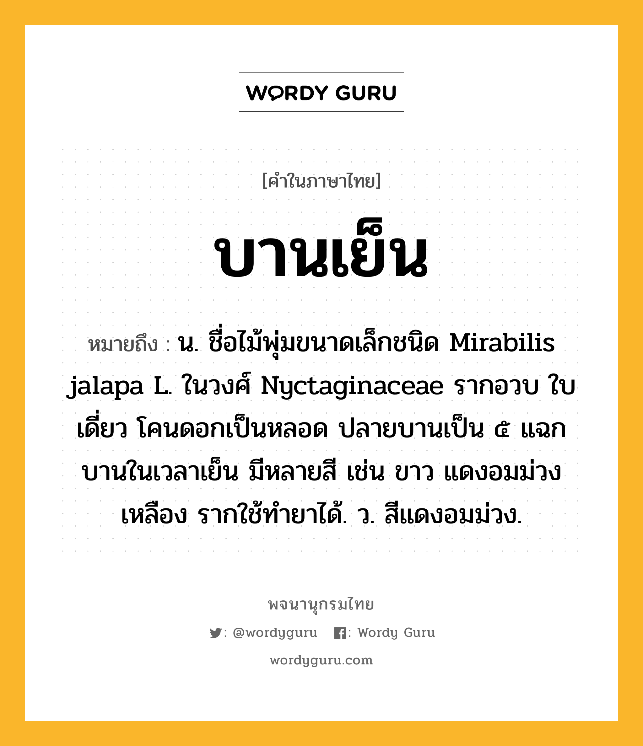 บานเย็น หมายถึงอะไร?, คำในภาษาไทย บานเย็น หมายถึง น. ชื่อไม้พุ่มขนาดเล็กชนิด Mirabilis jalapa L. ในวงศ์ Nyctaginaceae รากอวบ ใบเดี่ยว โคนดอกเป็นหลอด ปลายบานเป็น ๕ แฉก บานในเวลาเย็น มีหลายสี เช่น ขาว แดงอมม่วง เหลือง รากใช้ทํายาได้. ว. สีแดงอมม่วง.