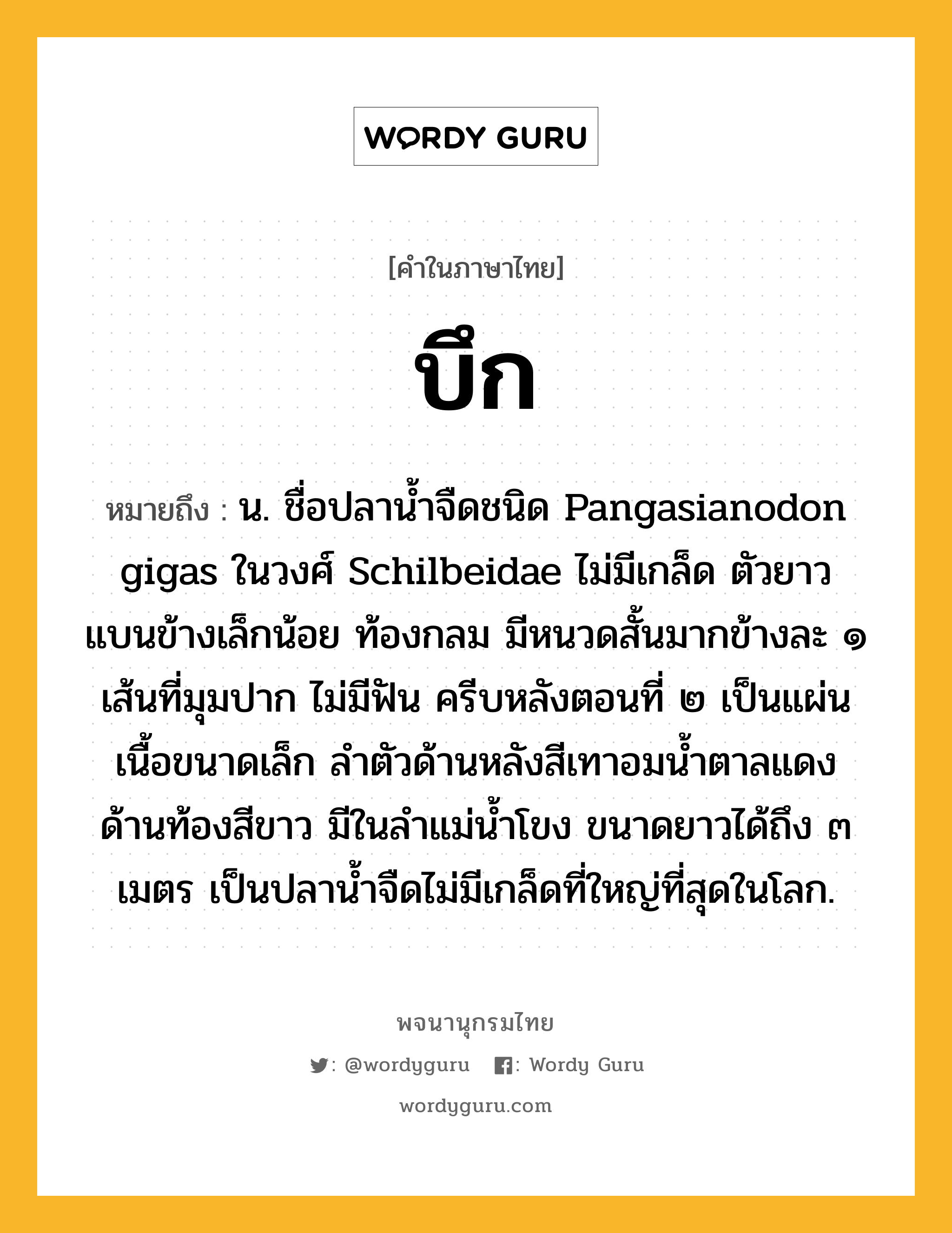 บึก หมายถึงอะไร?, คำในภาษาไทย บึก หมายถึง น. ชื่อปลานํ้าจืดชนิด Pangasianodon gigas ในวงศ์ Schilbeidae ไม่มีเกล็ด ตัวยาว แบนข้างเล็กน้อย ท้องกลม มีหนวดสั้นมากข้างละ ๑ เส้นที่มุมปาก ไม่มีฟัน ครีบหลังตอนที่ ๒ เป็นแผ่นเนื้อขนาดเล็ก ลําตัวด้านหลังสีเทาอมนํ้าตาลแดง ด้านท้องสีขาว มีในลําแม่นํ้าโขง ขนาดยาวได้ถึง ๓ เมตร เป็นปลานํ้าจืดไม่มีเกล็ดที่ใหญ่ที่สุดในโลก.