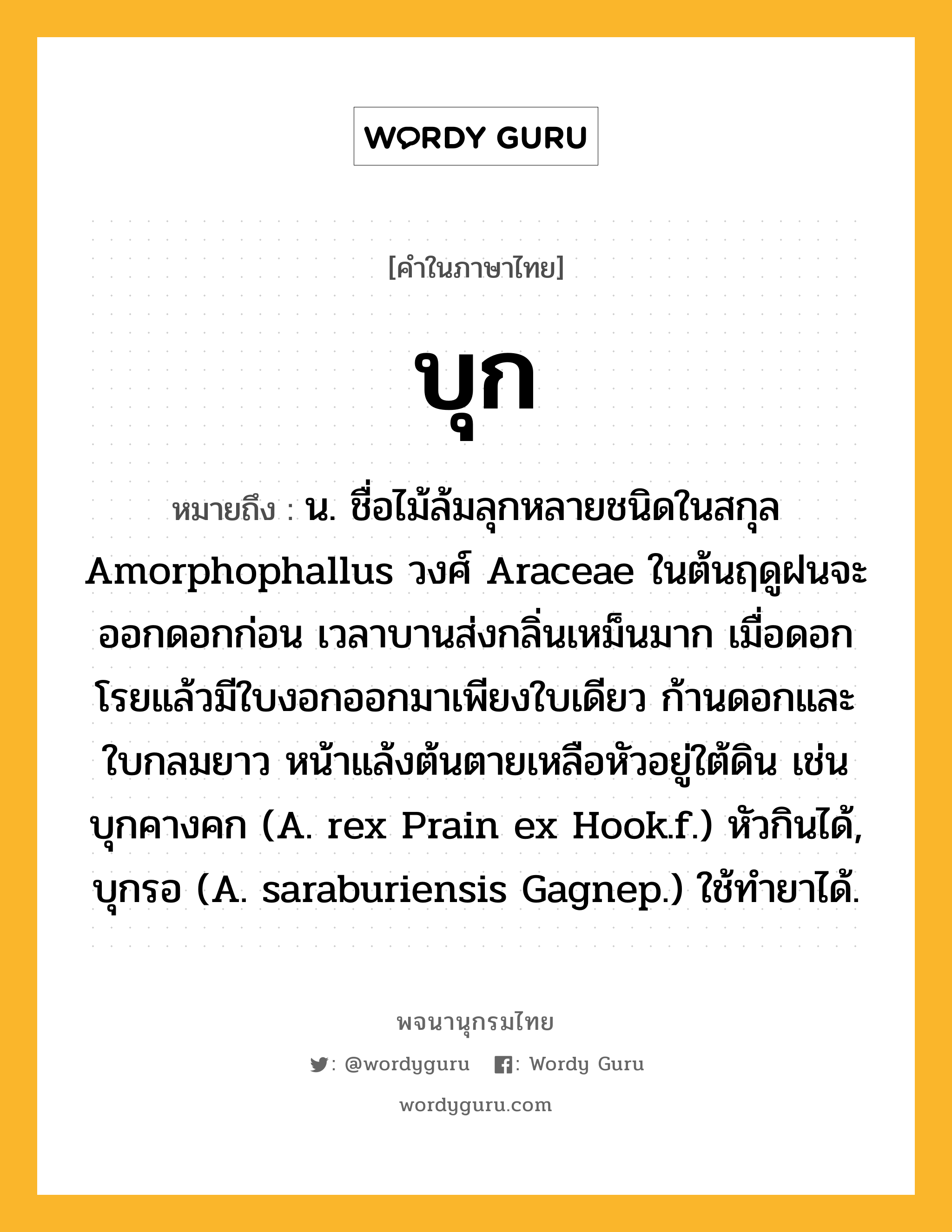 บุก หมายถึงอะไร?, คำในภาษาไทย บุก หมายถึง น. ชื่อไม้ล้มลุกหลายชนิดในสกุล Amorphophallus วงศ์ Araceae ในต้นฤดูฝนจะออกดอกก่อน เวลาบานส่งกลิ่นเหม็นมาก เมื่อดอกโรยแล้วมีใบงอกออกมาเพียงใบเดียว ก้านดอกและใบกลมยาว หน้าแล้งต้นตายเหลือหัวอยู่ใต้ดิน เช่น บุกคางคก (A. rex Prain ex Hook.f.) หัวกินได้, บุกรอ (A. saraburiensis Gagnep.) ใช้ทํายาได้.