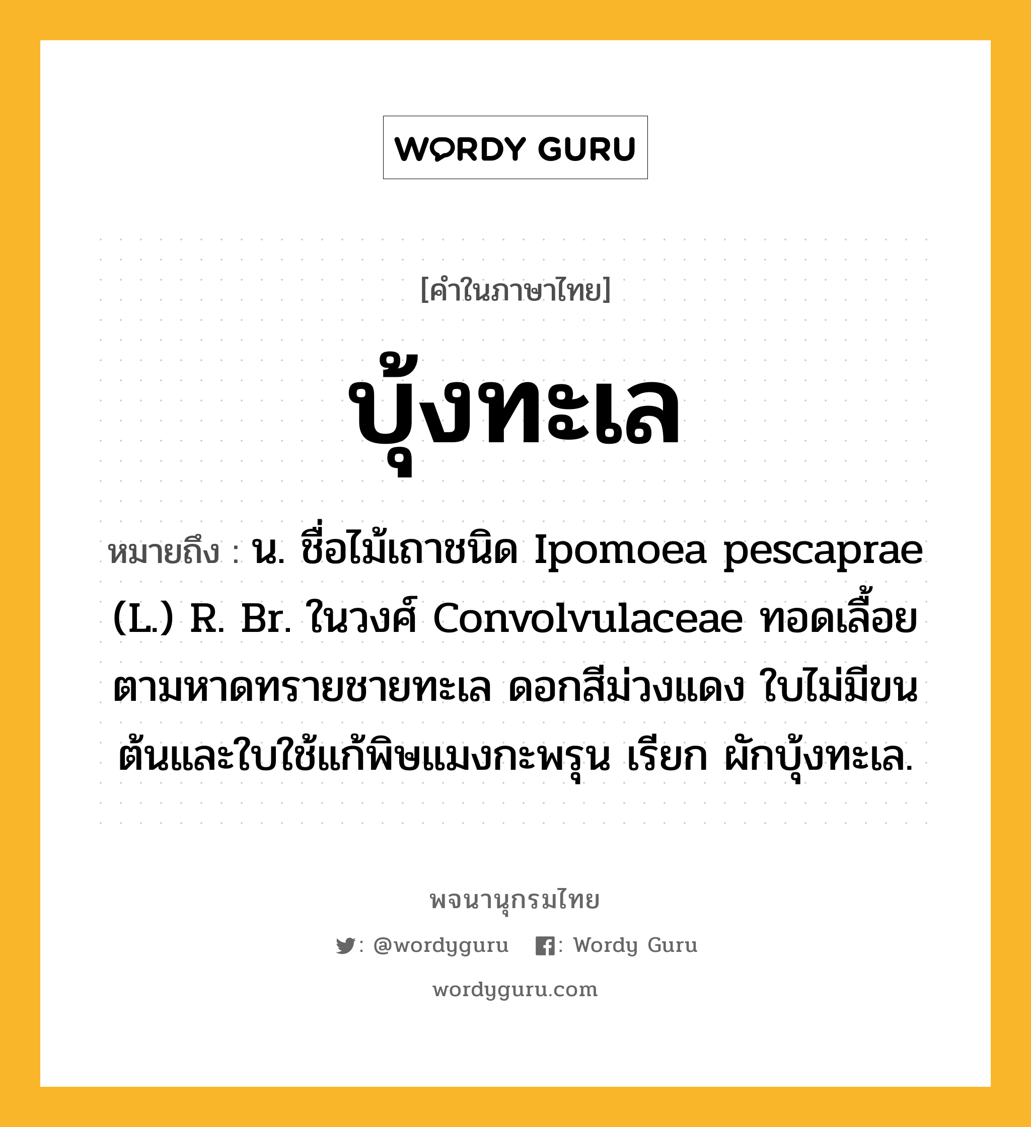 บุ้งทะเล หมายถึงอะไร?, คำในภาษาไทย บุ้งทะเล หมายถึง น. ชื่อไม้เถาชนิด Ipomoea pescaprae (L.) R. Br. ในวงศ์ Convolvulaceae ทอดเลื้อยตามหาดทรายชายทะเล ดอกสีม่วงแดง ใบไม่มีขน ต้นและใบใช้แก้พิษแมงกะพรุน เรียก ผักบุ้งทะเล.