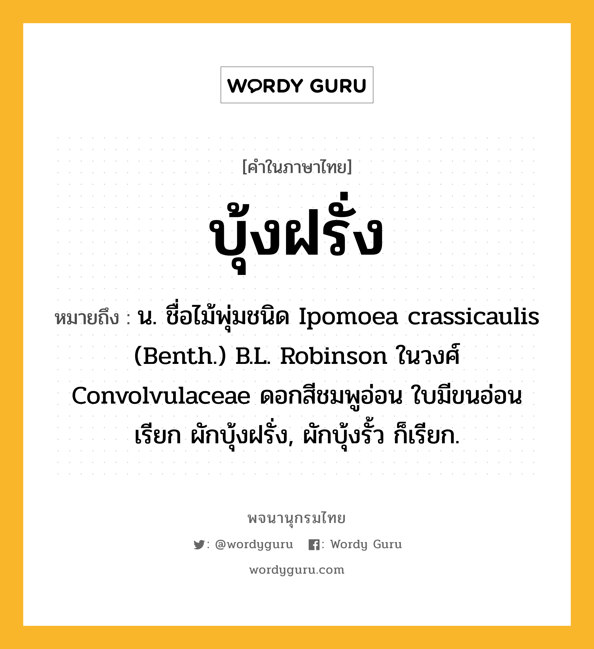 บุ้งฝรั่ง ความหมาย หมายถึงอะไร?, คำในภาษาไทย บุ้งฝรั่ง หมายถึง น. ชื่อไม้พุ่มชนิด Ipomoea crassicaulis (Benth.) B.L. Robinson ในวงศ์ Convolvulaceae ดอกสีชมพูอ่อน ใบมีขนอ่อน เรียก ผักบุ้งฝรั่ง, ผักบุ้งรั้ว ก็เรียก.