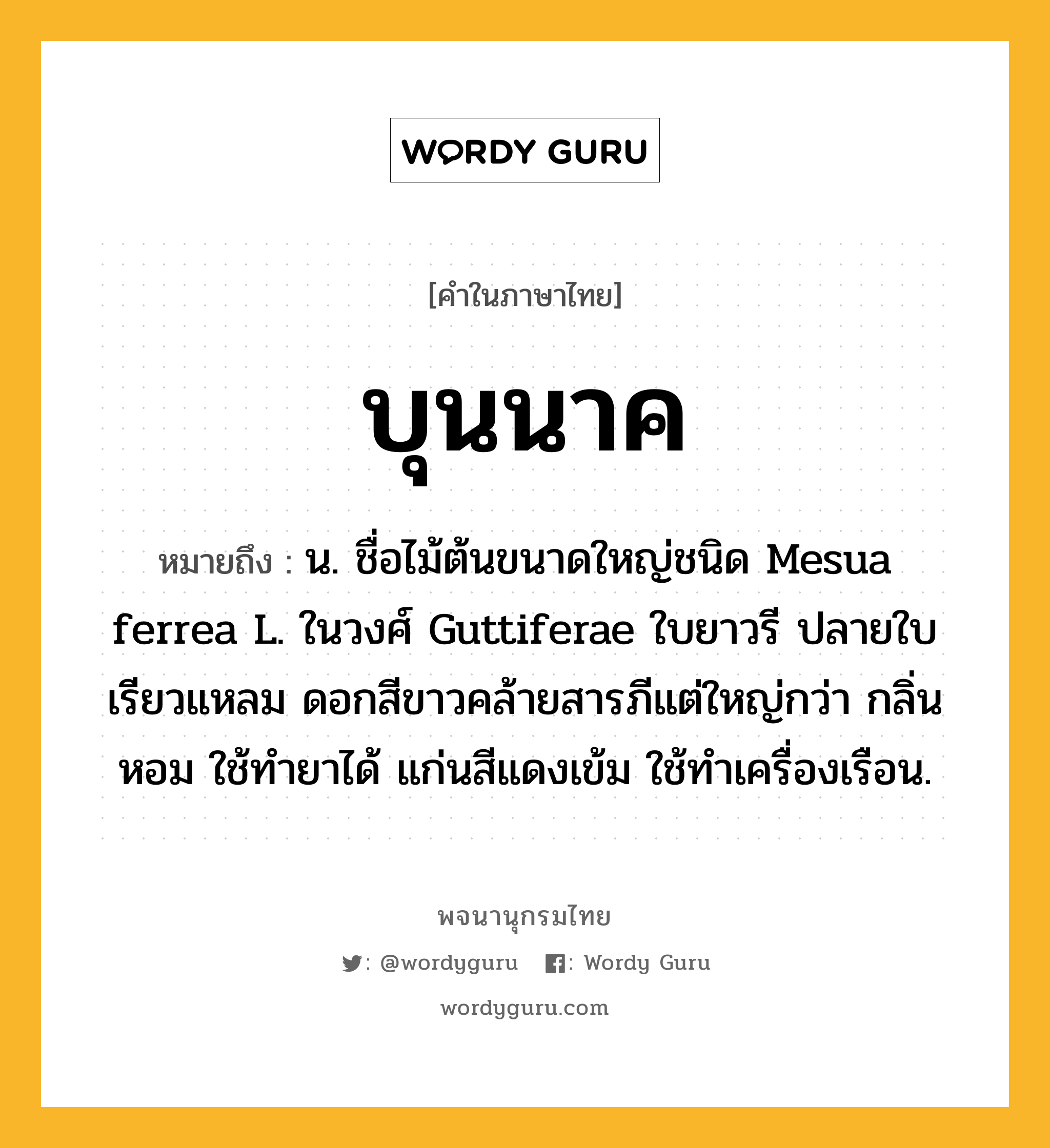 บุนนาค หมายถึงอะไร?, คำในภาษาไทย บุนนาค หมายถึง น. ชื่อไม้ต้นขนาดใหญ่ชนิด Mesua ferrea L. ในวงศ์ Guttiferae ใบยาวรี ปลายใบเรียวแหลม ดอกสีขาวคล้ายสารภีแต่ใหญ่กว่า กลิ่นหอม ใช้ทํายาได้ แก่นสีแดงเข้ม ใช้ทําเครื่องเรือน.