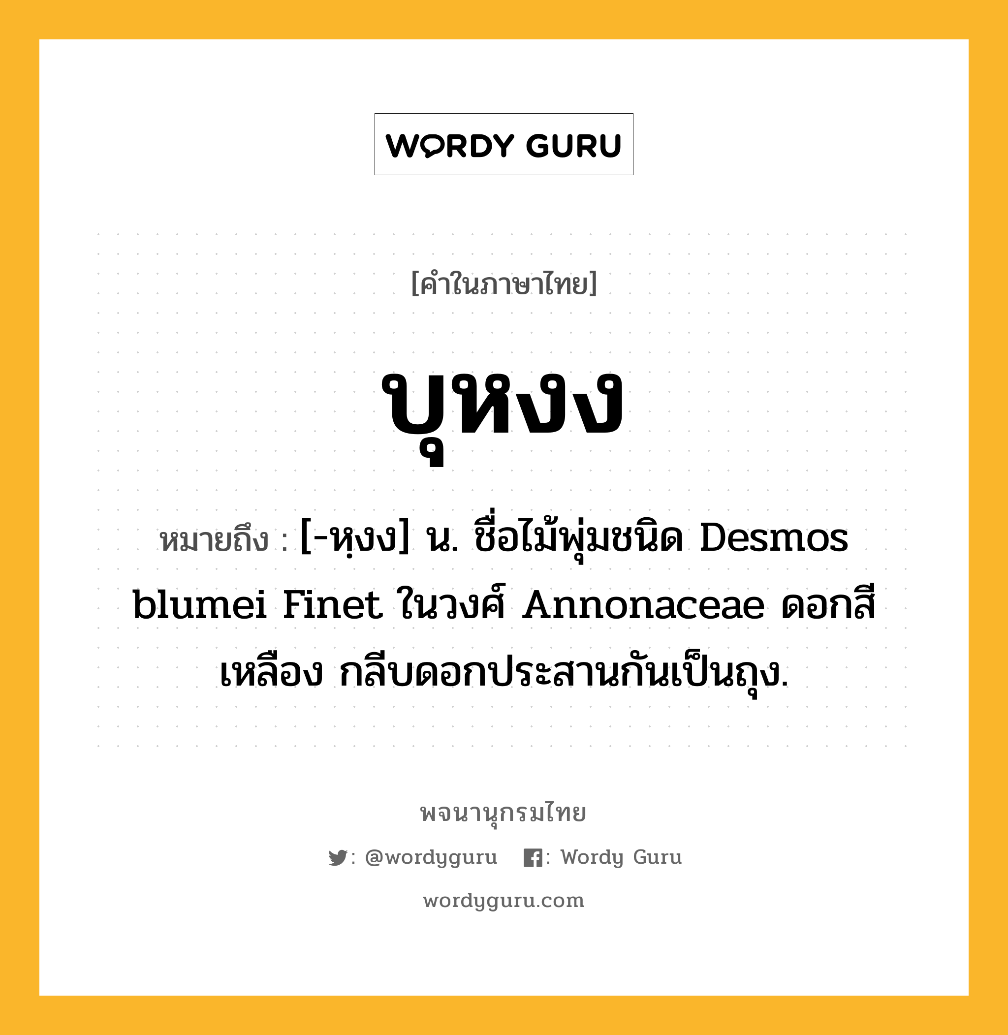 บุหงง ความหมาย หมายถึงอะไร?, คำในภาษาไทย บุหงง หมายถึง [-หฺงง] น. ชื่อไม้พุ่มชนิด Desmos blumei Finet ในวงศ์ Annonaceae ดอกสีเหลือง กลีบดอกประสานกันเป็นถุง.