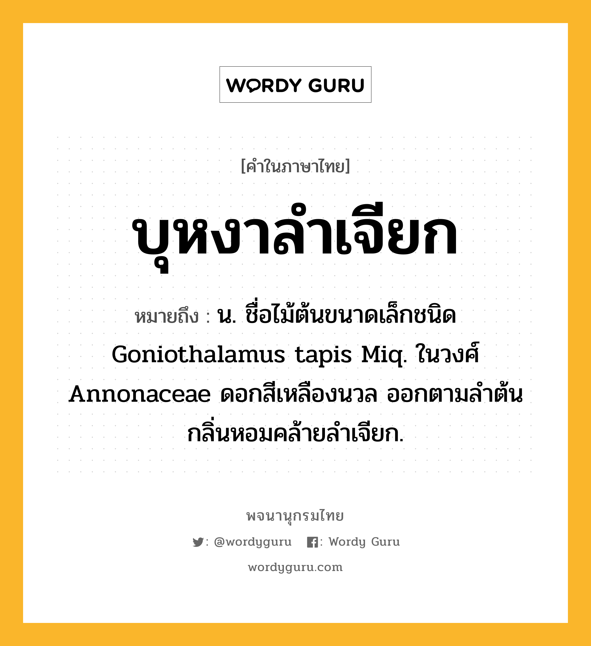 บุหงาลำเจียก ความหมาย หมายถึงอะไร?, คำในภาษาไทย บุหงาลำเจียก หมายถึง น. ชื่อไม้ต้นขนาดเล็กชนิด Goniothalamus tapis Miq. ในวงศ์ Annonaceae ดอกสีเหลืองนวล ออกตามลําต้น กลิ่นหอมคล้ายลําเจียก.