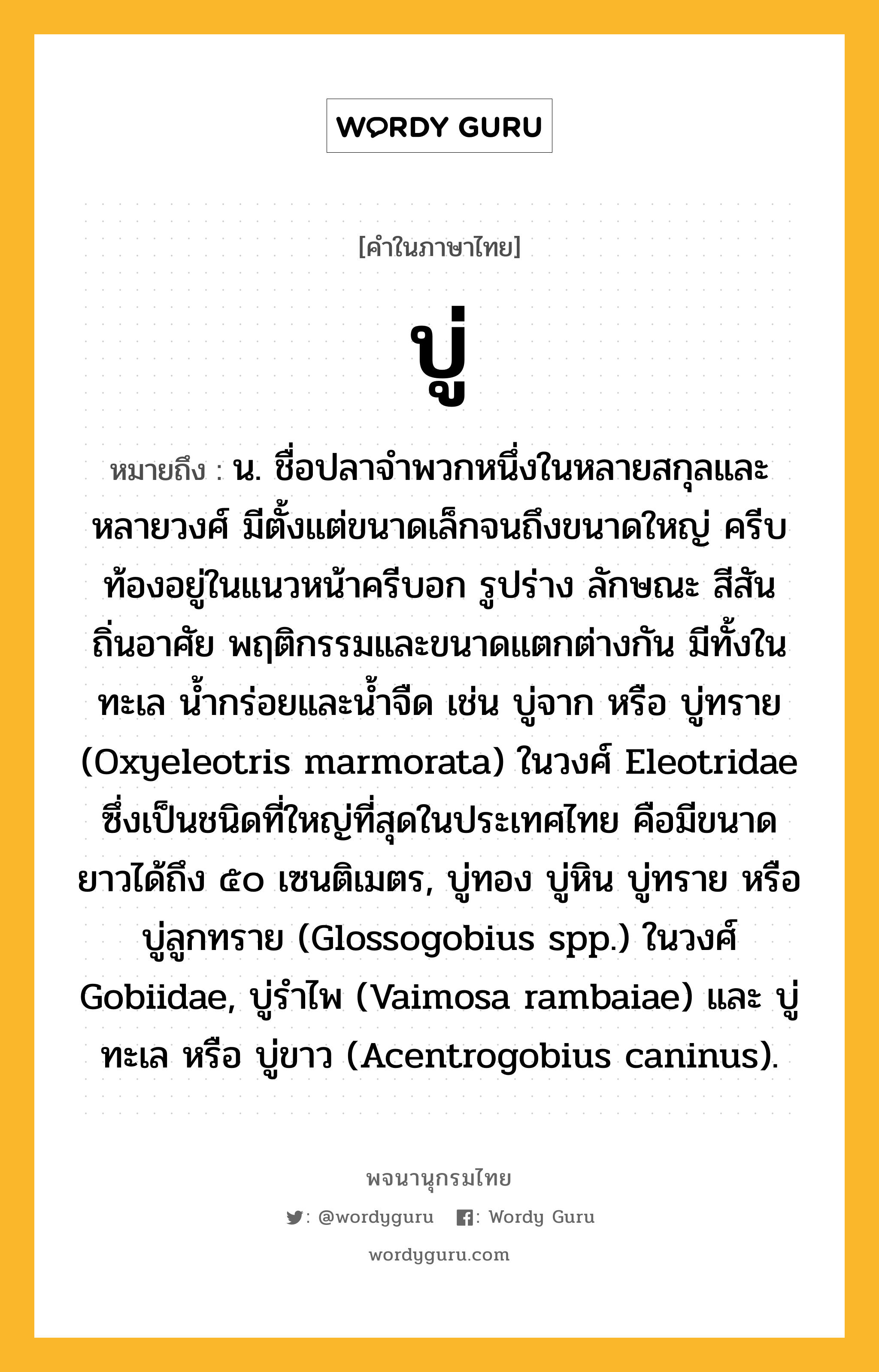 บู่ หมายถึงอะไร?, คำในภาษาไทย บู่ หมายถึง น. ชื่อปลาจําพวกหนึ่งในหลายสกุลและหลายวงศ์ มีตั้งแต่ขนาดเล็กจนถึงขนาดใหญ่ ครีบท้องอยู่ในแนวหน้าครีบอก รูปร่าง ลักษณะ สีสัน ถิ่นอาศัย พฤติกรรมและขนาดแตกต่างกัน มีทั้งในทะเล นํ้ากร่อยและนํ้าจืด เช่น บู่จาก หรือ บู่ทราย (Oxyeleotris marmorata) ในวงศ์ Eleotridae ซึ่งเป็นชนิดที่ใหญ่ที่สุดในประเทศไทย คือมีขนาดยาวได้ถึง ๕๐ เซนติเมตร, บู่ทอง บู่หิน บู่ทราย หรือ บู่ลูกทราย (Glossogobius spp.) ในวงศ์ Gobiidae, บู่รําไพ (Vaimosa rambaiae) และ บู่ทะเล หรือ บู่ขาว (Acentrogobius caninus).