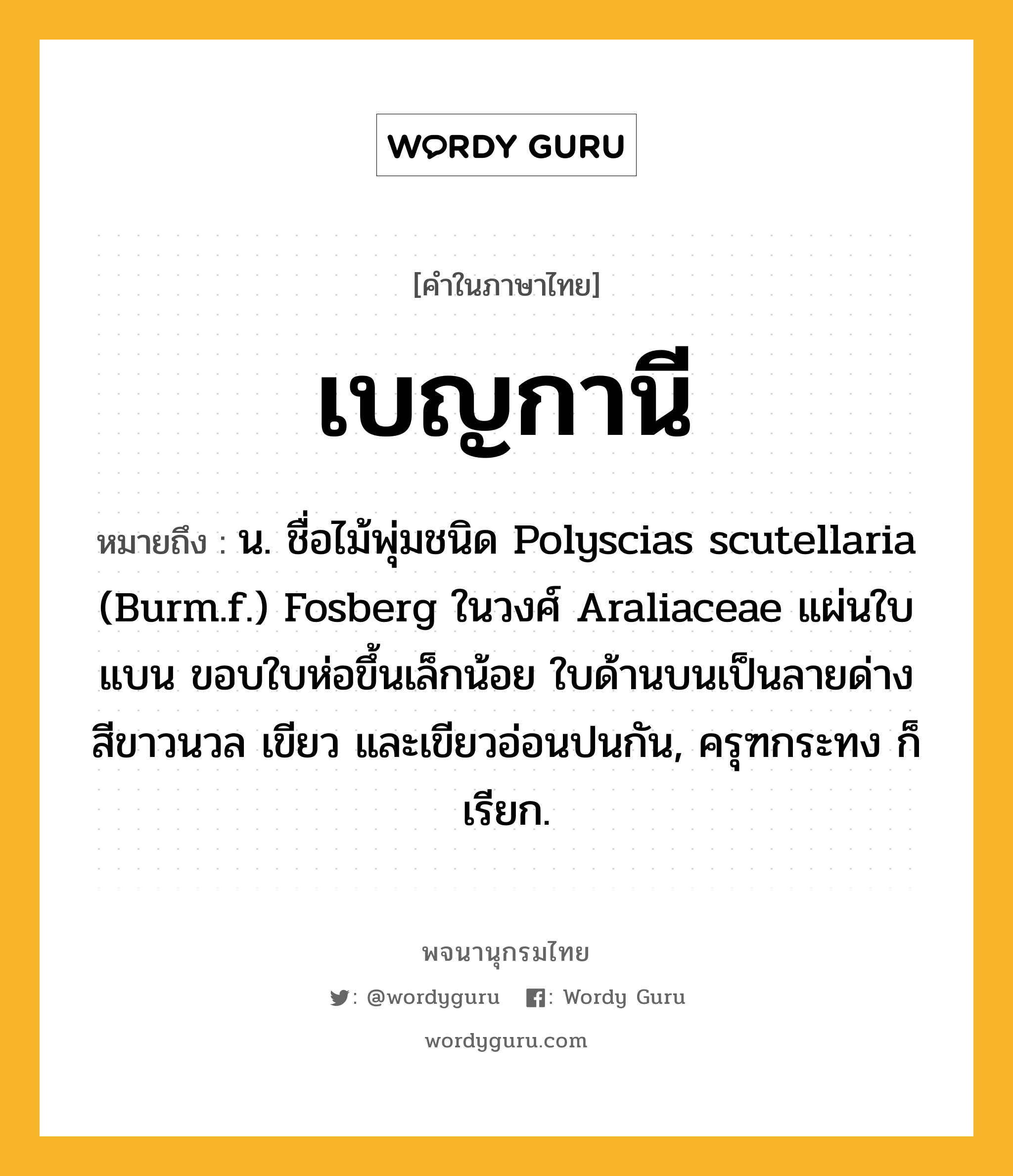 เบญกานี หมายถึงอะไร?, คำในภาษาไทย เบญกานี หมายถึง น. ชื่อไม้พุ่มชนิด Polyscias scutellaria (Burm.f.) Fosberg ในวงศ์ Araliaceae แผ่นใบแบน ขอบใบห่อขึ้นเล็กน้อย ใบด้านบนเป็นลายด่างสีขาวนวล เขียว และเขียวอ่อนปนกัน, ครุฑกระทง ก็เรียก.