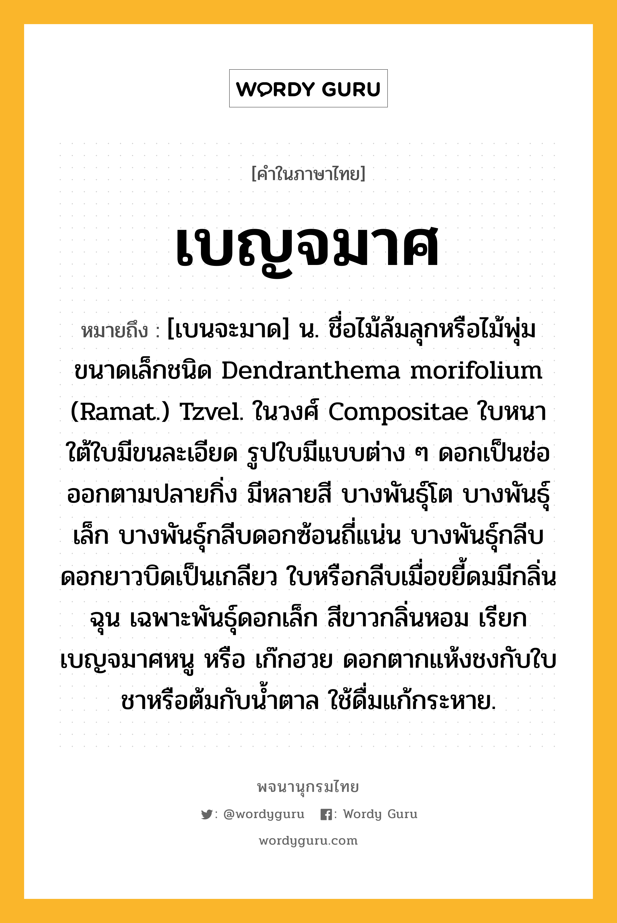 เบญจมาศ ความหมาย หมายถึงอะไร?, คำในภาษาไทย เบญจมาศ หมายถึง [เบนจะมาด] น. ชื่อไม้ล้มลุกหรือไม้พุ่มขนาดเล็กชนิด Dendranthema morifolium (Ramat.) Tzvel. ในวงศ์ Compositae ใบหนา ใต้ใบมีขนละเอียด รูปใบมีแบบต่าง ๆ ดอกเป็นช่อออกตามปลายกิ่ง มีหลายสี บางพันธุ์โต บางพันธุ์เล็ก บางพันธุ์กลีบดอกซ้อนถี่แน่น บางพันธุ์กลีบดอกยาวบิดเป็นเกลียว ใบหรือกลีบเมื่อขยี้ดมมีกลิ่นฉุน เฉพาะพันธุ์ดอกเล็ก สีขาวกลิ่นหอม เรียก เบญจมาศหนู หรือ เก๊กฮวย ดอกตากแห้งชงกับใบชาหรือต้มกับนํ้าตาล ใช้ดื่มแก้กระหาย.