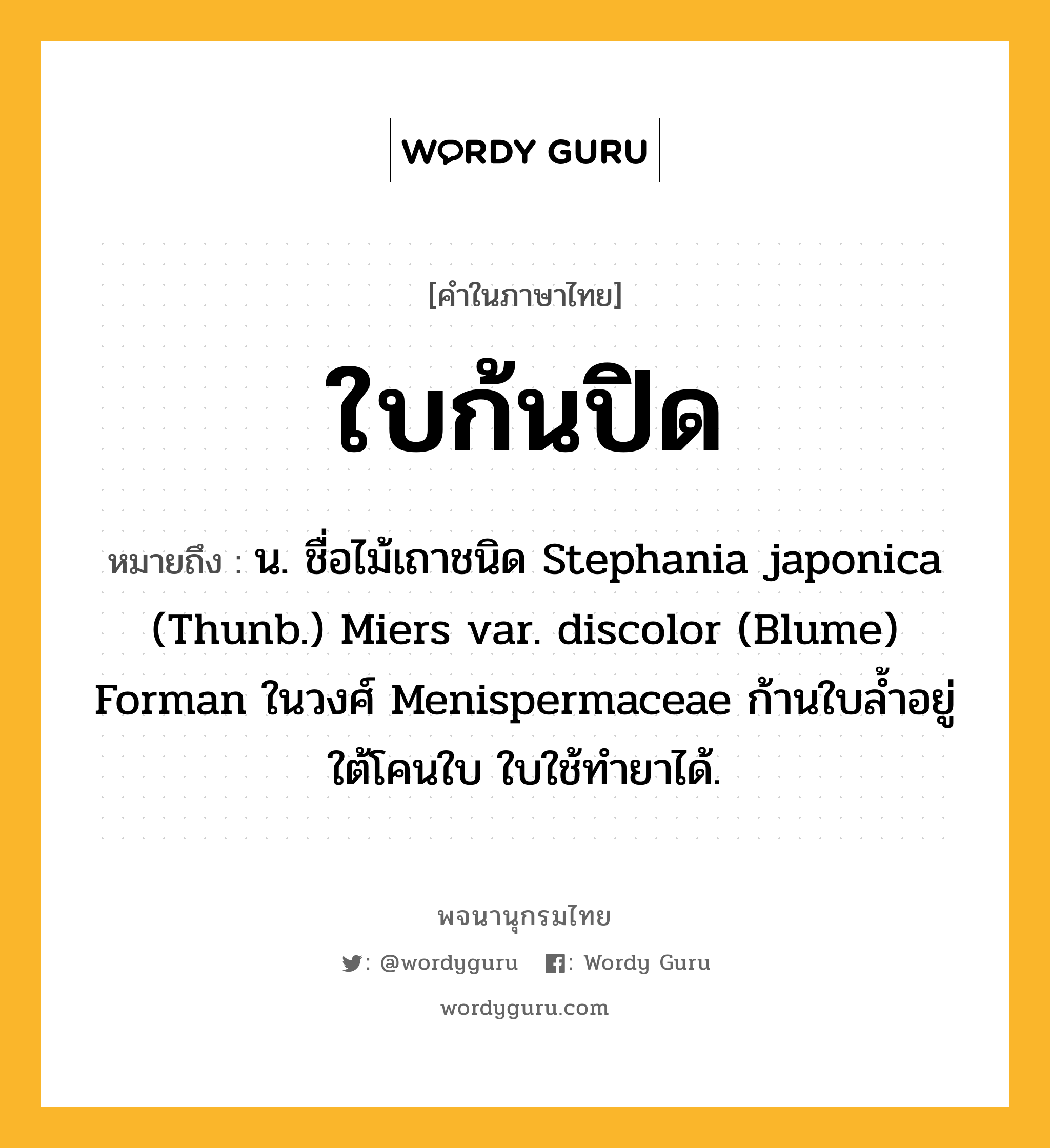 ใบก้นปิด หมายถึงอะไร?, คำในภาษาไทย ใบก้นปิด หมายถึง น. ชื่อไม้เถาชนิด Stephania japonica (Thunb.) Miers var. discolor (Blume) Forman ในวงศ์ Menispermaceae ก้านใบลํ้าอยู่ใต้โคนใบ ใบใช้ทํายาได้.