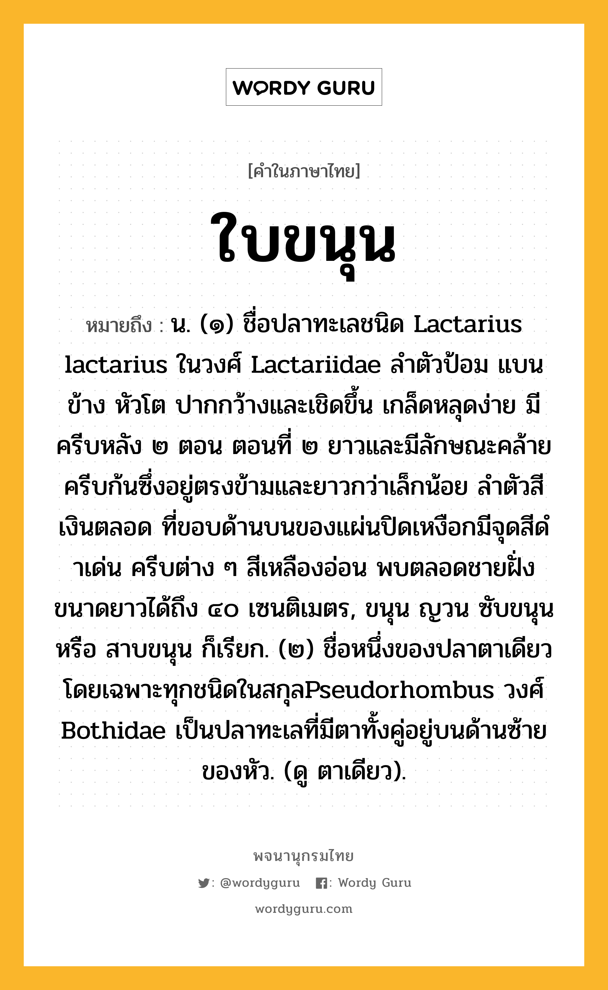 ใบขนุน หมายถึงอะไร?, คำในภาษาไทย ใบขนุน หมายถึง น. (๑) ชื่อปลาทะเลชนิด Lactarius lactarius ในวงศ์ Lactariidae ลําตัวป้อม แบนข้าง หัวโต ปากกว้างและเชิดขึ้น เกล็ดหลุดง่าย มีครีบหลัง ๒ ตอน ตอนที่ ๒ ยาวและมีลักษณะคล้ายครีบก้นซึ่งอยู่ตรงข้ามและยาวกว่าเล็กน้อย ลําตัวสีเงินตลอด ที่ขอบด้านบนของแผ่นปิดเหงือกมีจุดสีดําเด่น ครีบต่าง ๆ สีเหลืองอ่อน พบตลอดชายฝั่ง ขนาดยาวได้ถึง ๔๐ เซนติเมตร, ขนุน ญวน ซับขนุน หรือ สาบขนุน ก็เรียก. (๒) ชื่อหนึ่งของปลาตาเดียวโดยเฉพาะทุกชนิดในสกุลPseudorhombus วงศ์ Bothidae เป็นปลาทะเลที่มีตาทั้งคู่อยู่บนด้านซ้ายของหัว. (ดู ตาเดียว).