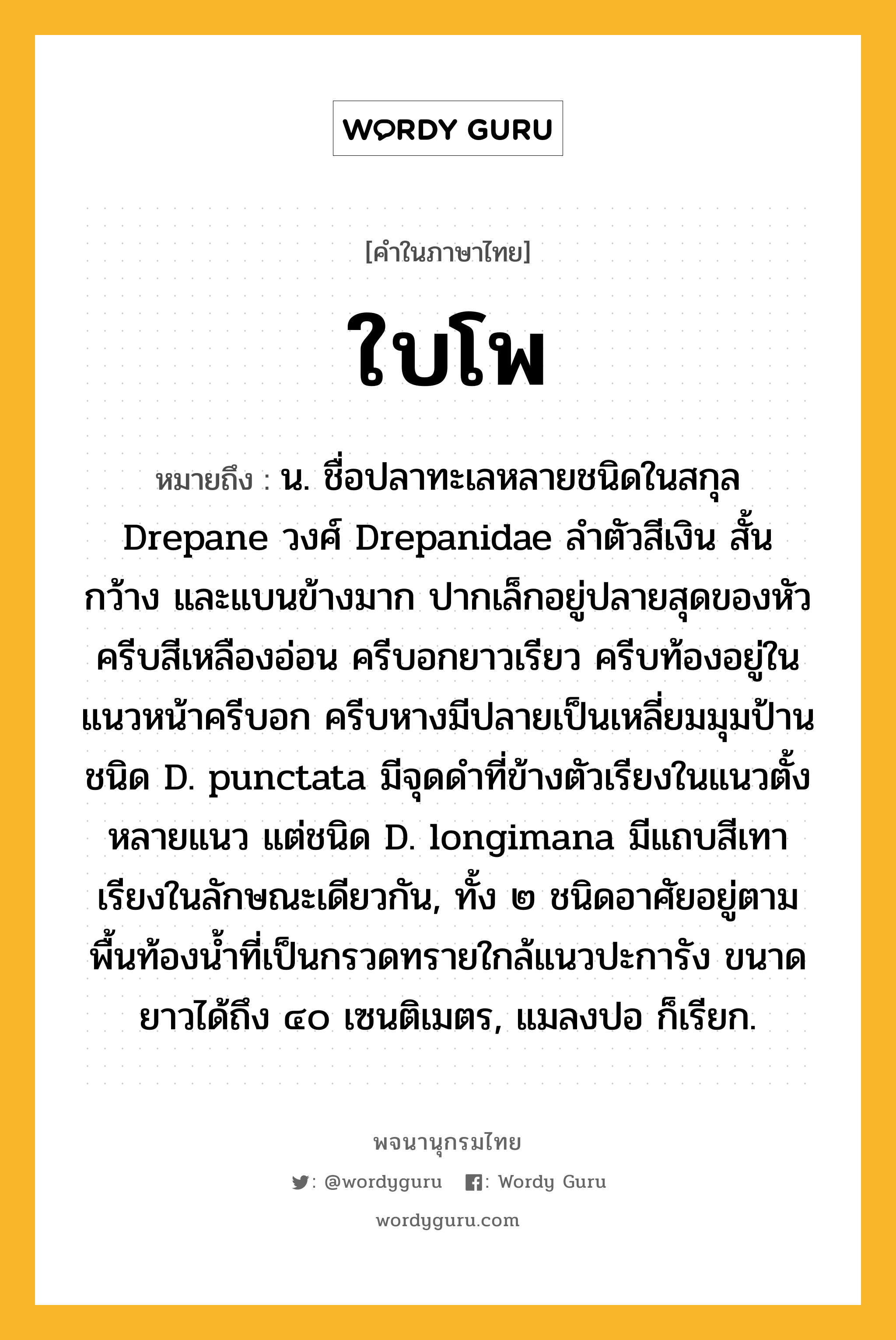 ใบโพ หมายถึงอะไร?, คำในภาษาไทย ใบโพ หมายถึง น. ชื่อปลาทะเลหลายชนิดในสกุล Drepane วงศ์ Drepanidae ลําตัวสีเงิน สั้น กว้าง และแบนข้างมาก ปากเล็กอยู่ปลายสุดของหัว ครีบสีเหลืองอ่อน ครีบอกยาวเรียว ครีบท้องอยู่ในแนวหน้าครีบอก ครีบหางมีปลายเป็นเหลี่ยมมุมป้าน ชนิด D. punctata มีจุดดําที่ข้างตัวเรียงในแนวตั้งหลายแนว แต่ชนิด D. longimana มีแถบสีเทาเรียงในลักษณะเดียวกัน, ทั้ง ๒ ชนิดอาศัยอยู่ตามพื้นท้องนํ้าที่เป็นกรวดทรายใกล้แนวปะการัง ขนาดยาวได้ถึง ๔๐ เซนติเมตร, แมลงปอ ก็เรียก.