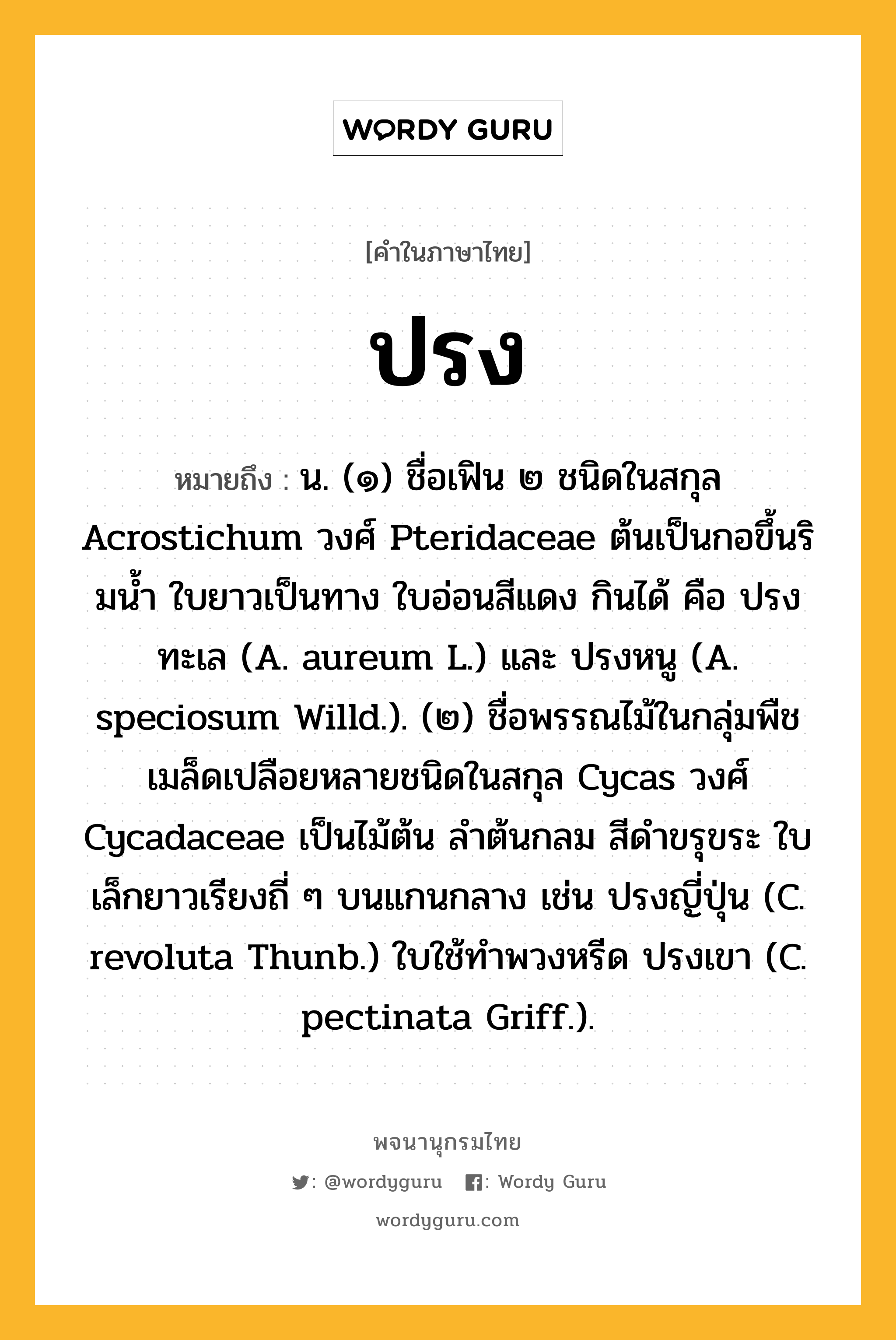 ปรง หมายถึงอะไร?, คำในภาษาไทย ปรง หมายถึง น. (๑) ชื่อเฟิน ๒ ชนิดในสกุล Acrostichum วงศ์ Pteridaceae ต้นเป็นกอขึ้นริมนํ้า ใบยาวเป็นทาง ใบอ่อนสีแดง กินได้ คือ ปรงทะเล (A. aureum L.) และ ปรงหนู (A. speciosum Willd.). (๒) ชื่อพรรณไม้ในกลุ่มพืชเมล็ดเปลือยหลายชนิดในสกุล Cycas วงศ์ Cycadaceae เป็นไม้ต้น ลําต้นกลม สีดําขรุขระ ใบเล็กยาวเรียงถี่ ๆ บนแกนกลาง เช่น ปรงญี่ปุ่น (C. revoluta Thunb.) ใบใช้ทําพวงหรีด ปรงเขา (C. pectinata Griff.).